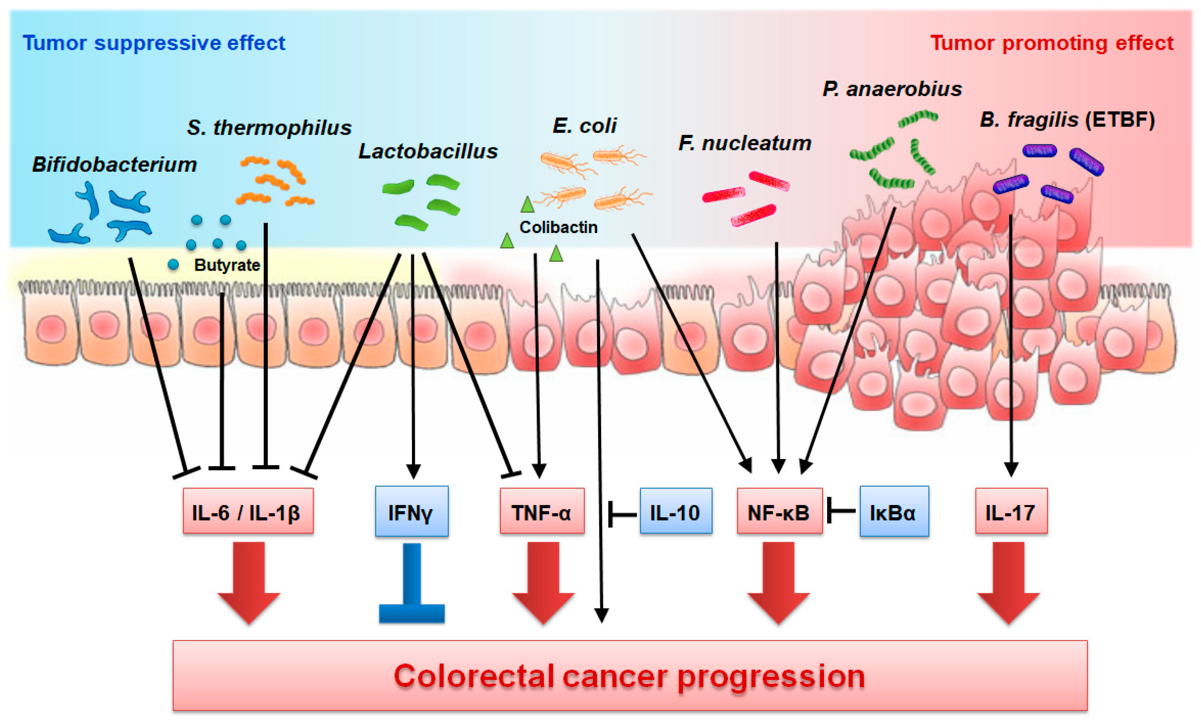 Cancers 13 00734 g001 Cancers 13 00734 g001