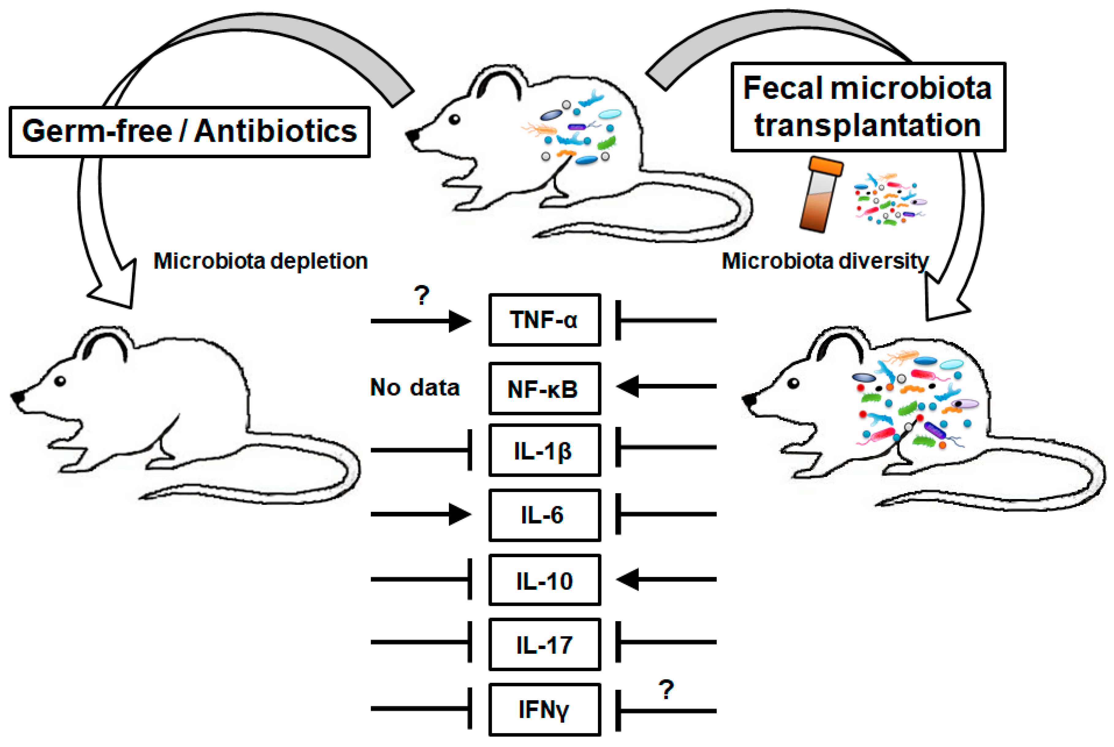 Cancers 13 00734 g002 Cancers 13 00734 g002