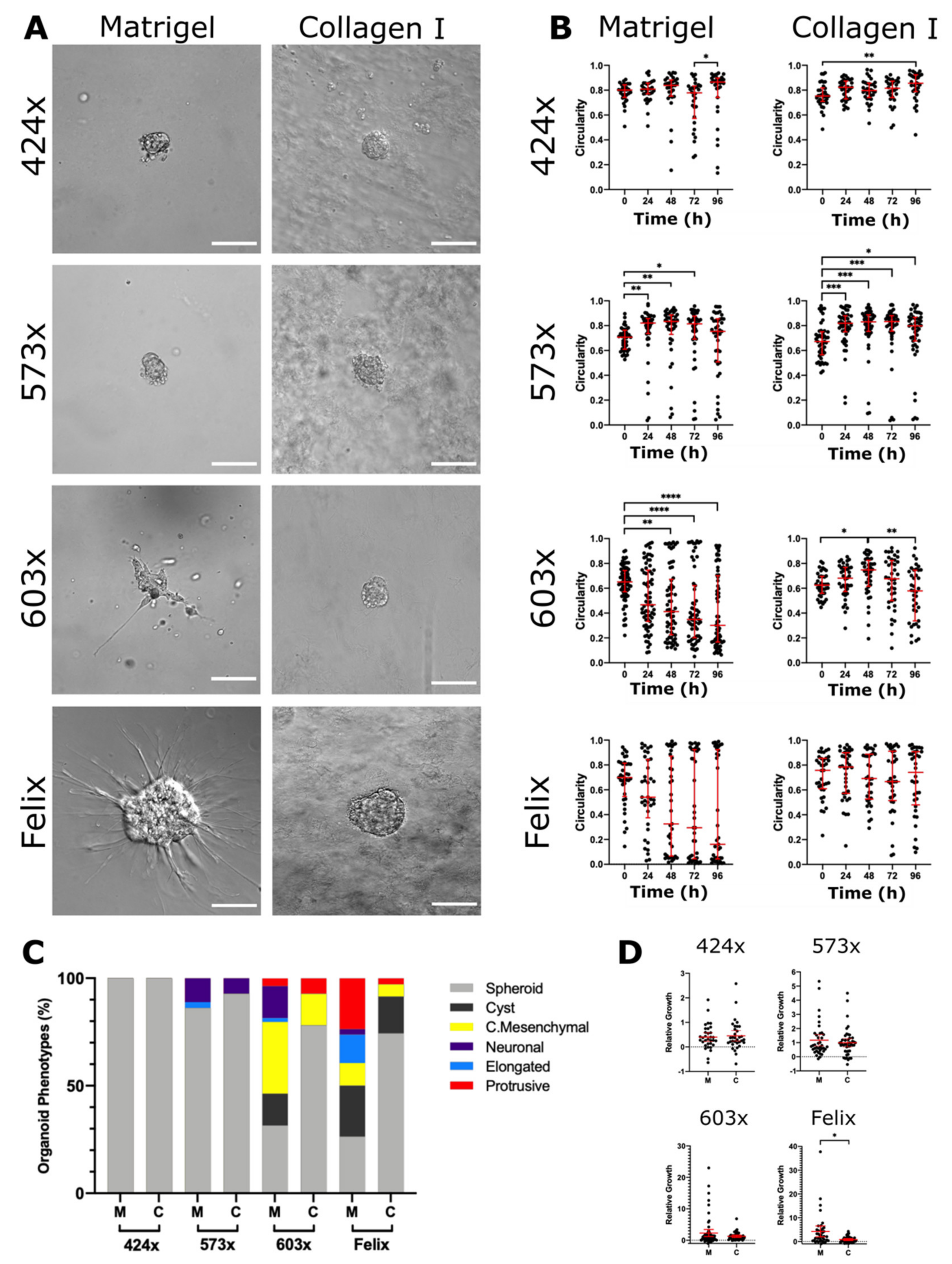 Cancers 13 00736 g002 Cancers 13 00736 g002