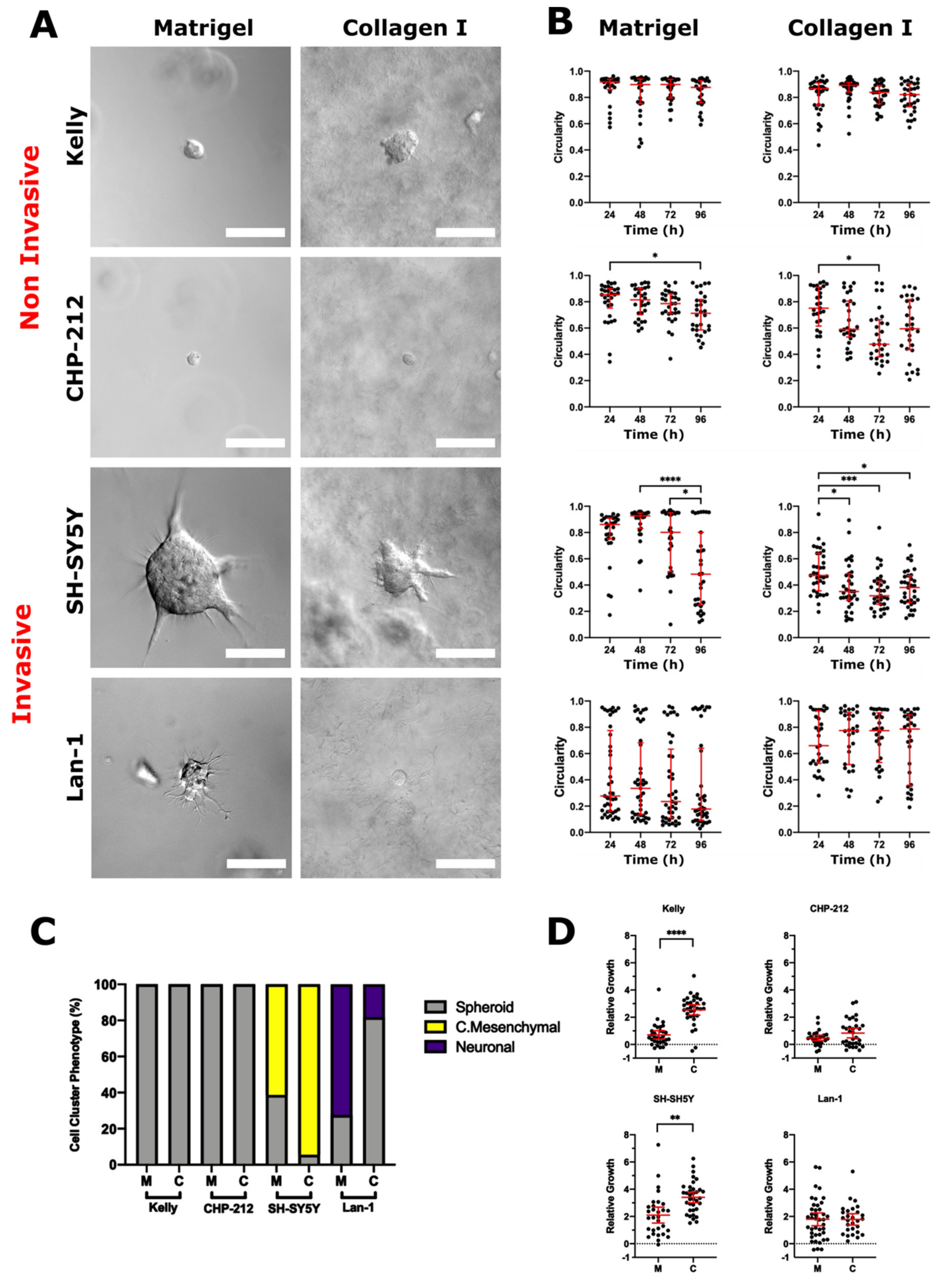 Cancers 13 00736 g004 Cancers 13 00736 g004
