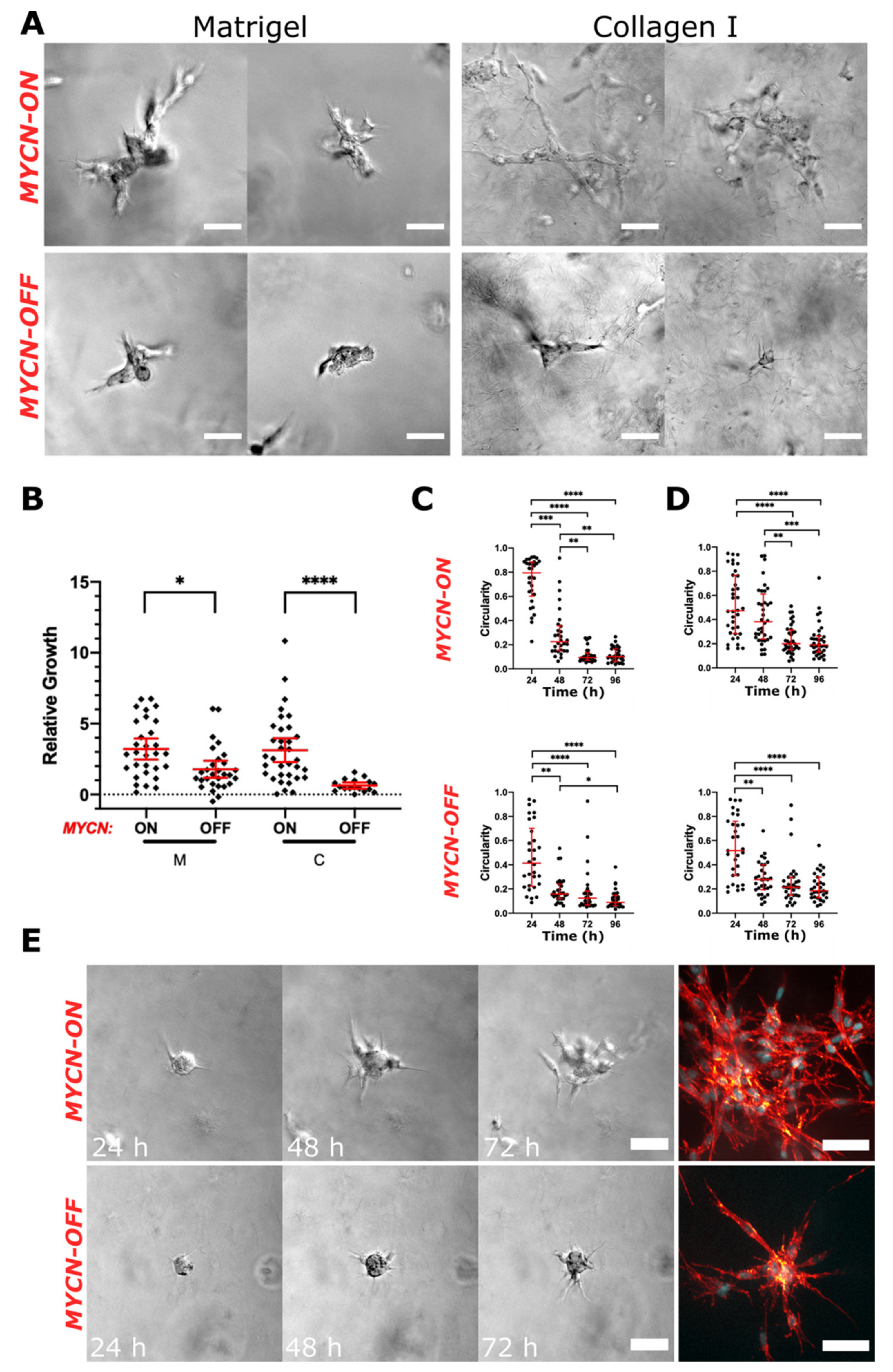 Cancers 13 00736 g005 Cancers 13 00736 g005