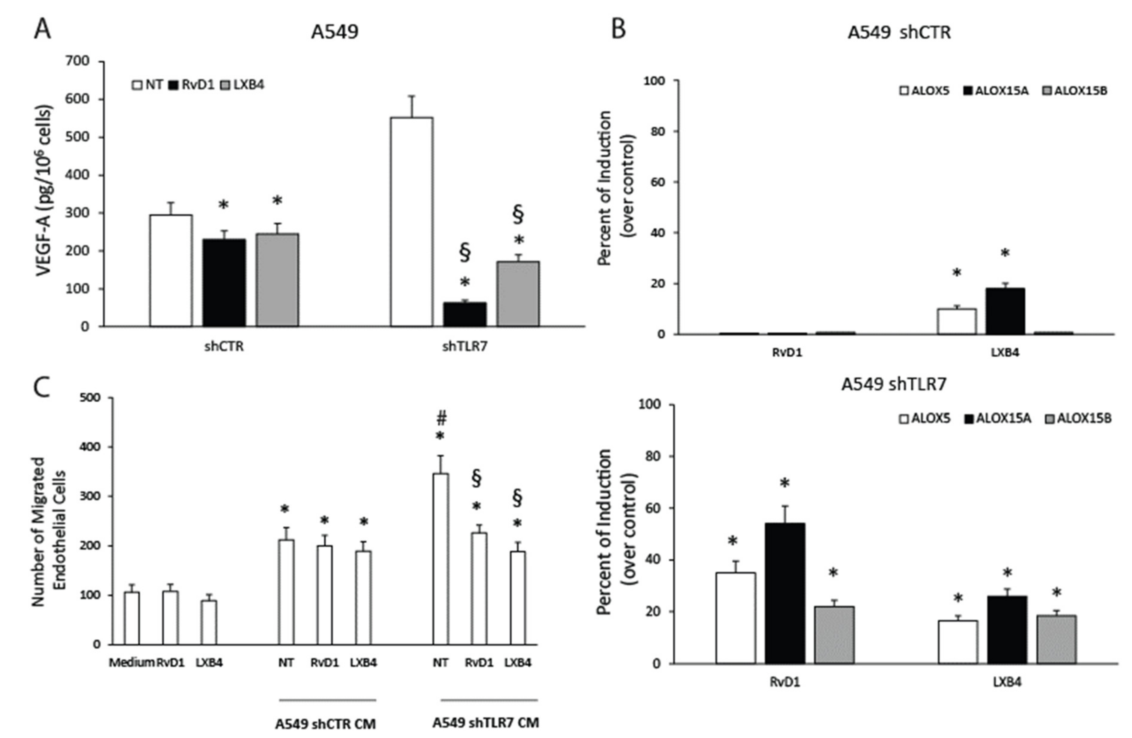 Cancers 13 00740 g005 Cancers 13 00740 g005
