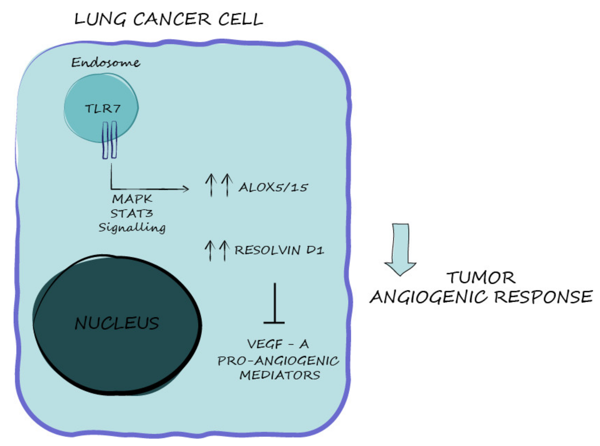 Cancers 13 00740 g007 Cancers 13 00740 g007