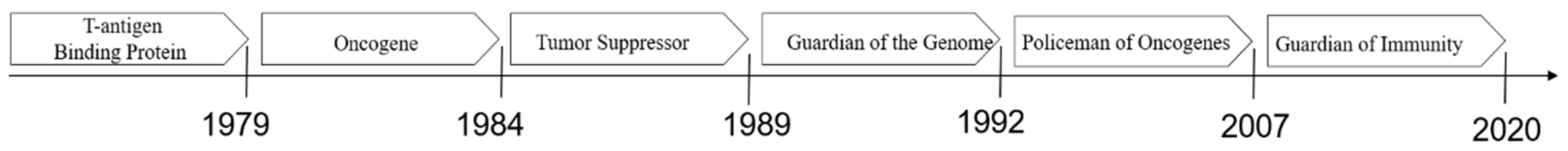 Cancers 13 00745 g001 Cancers 13 00745 g001