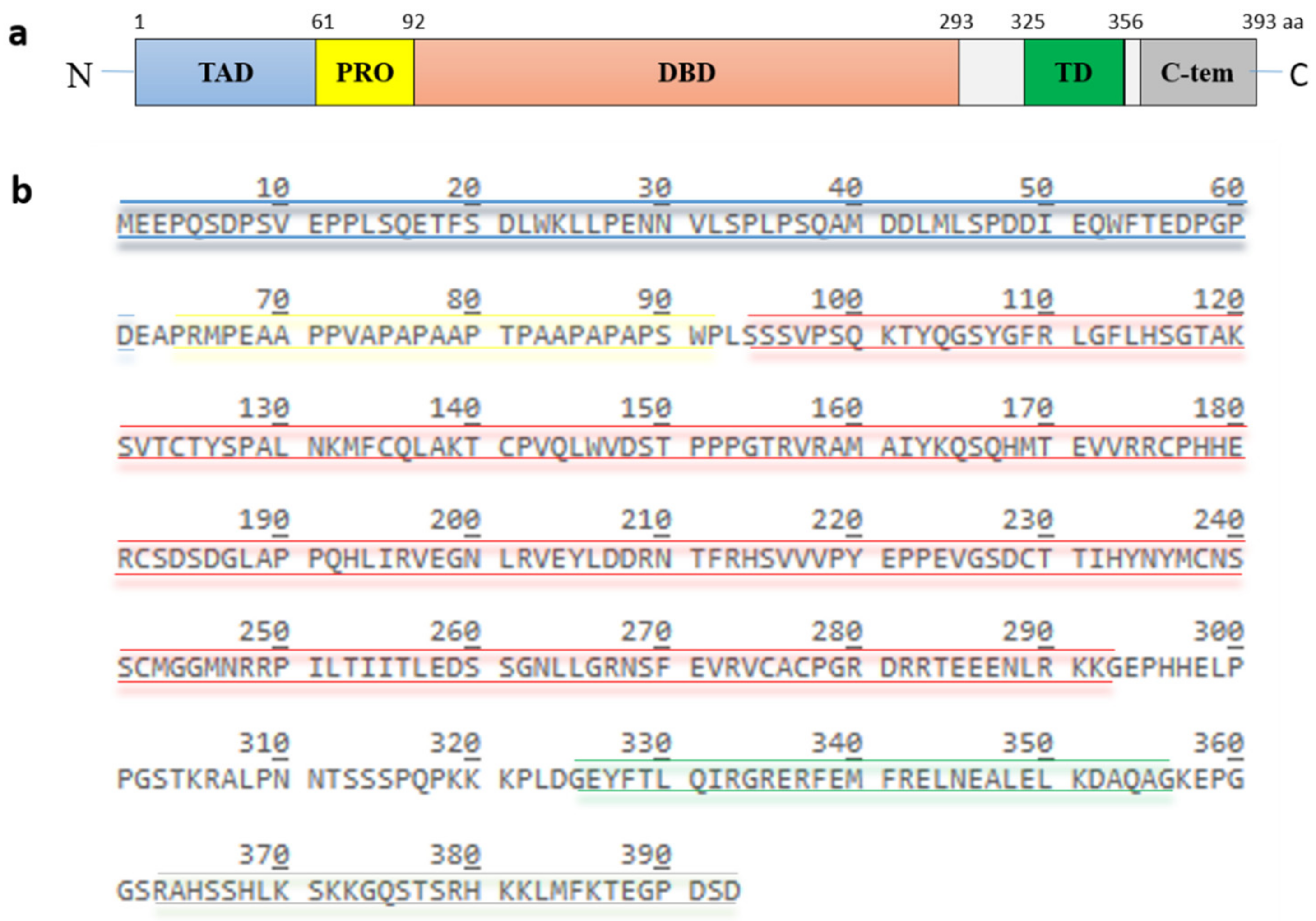 Cancers 13 00745 g002 Cancers 13 00745 g002