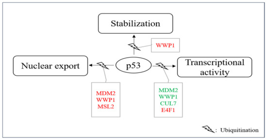 Cancers 13 00745 g005 550