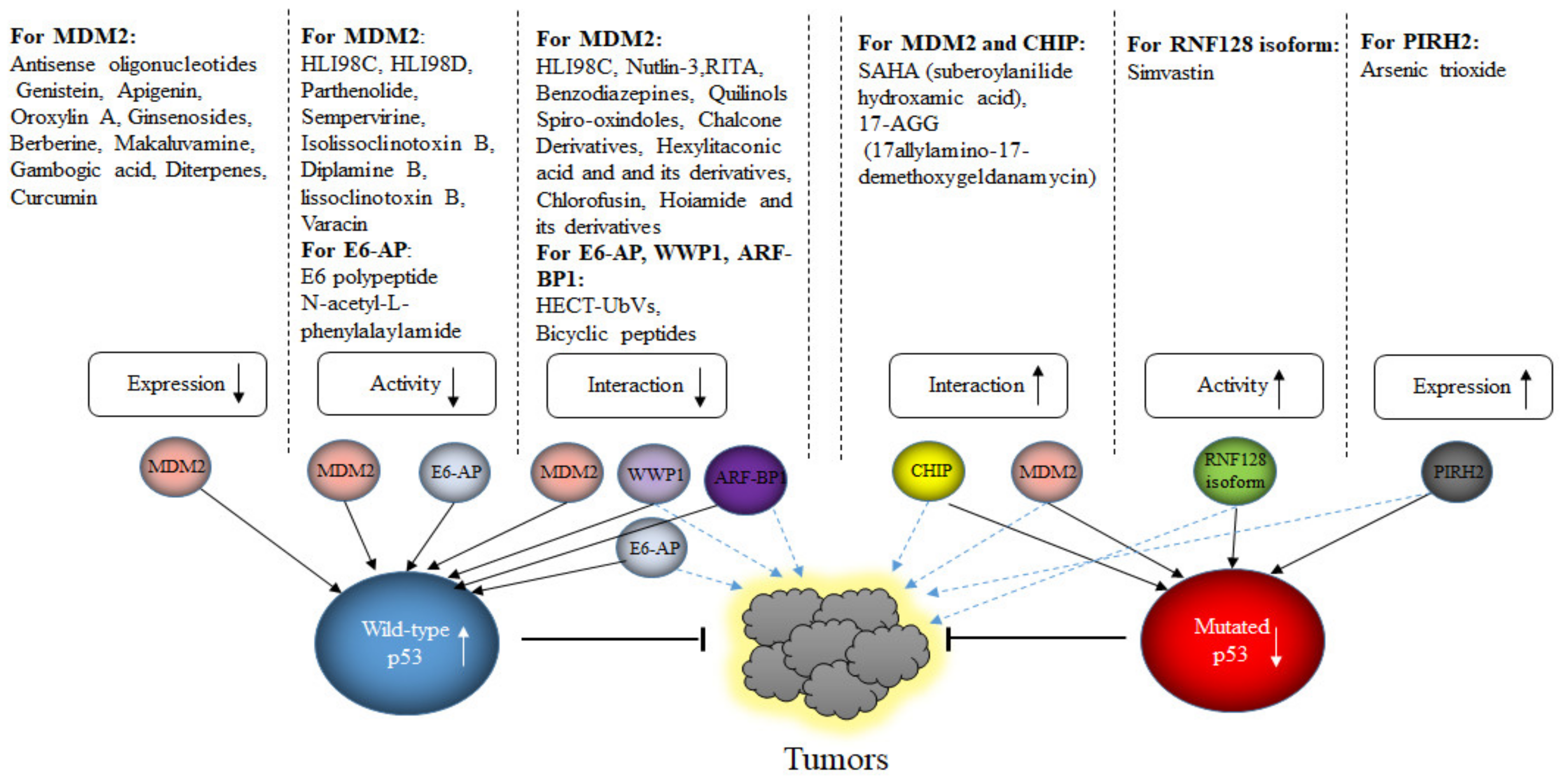 Cancers 13 00745 g008 Cancers 13 00745 g008