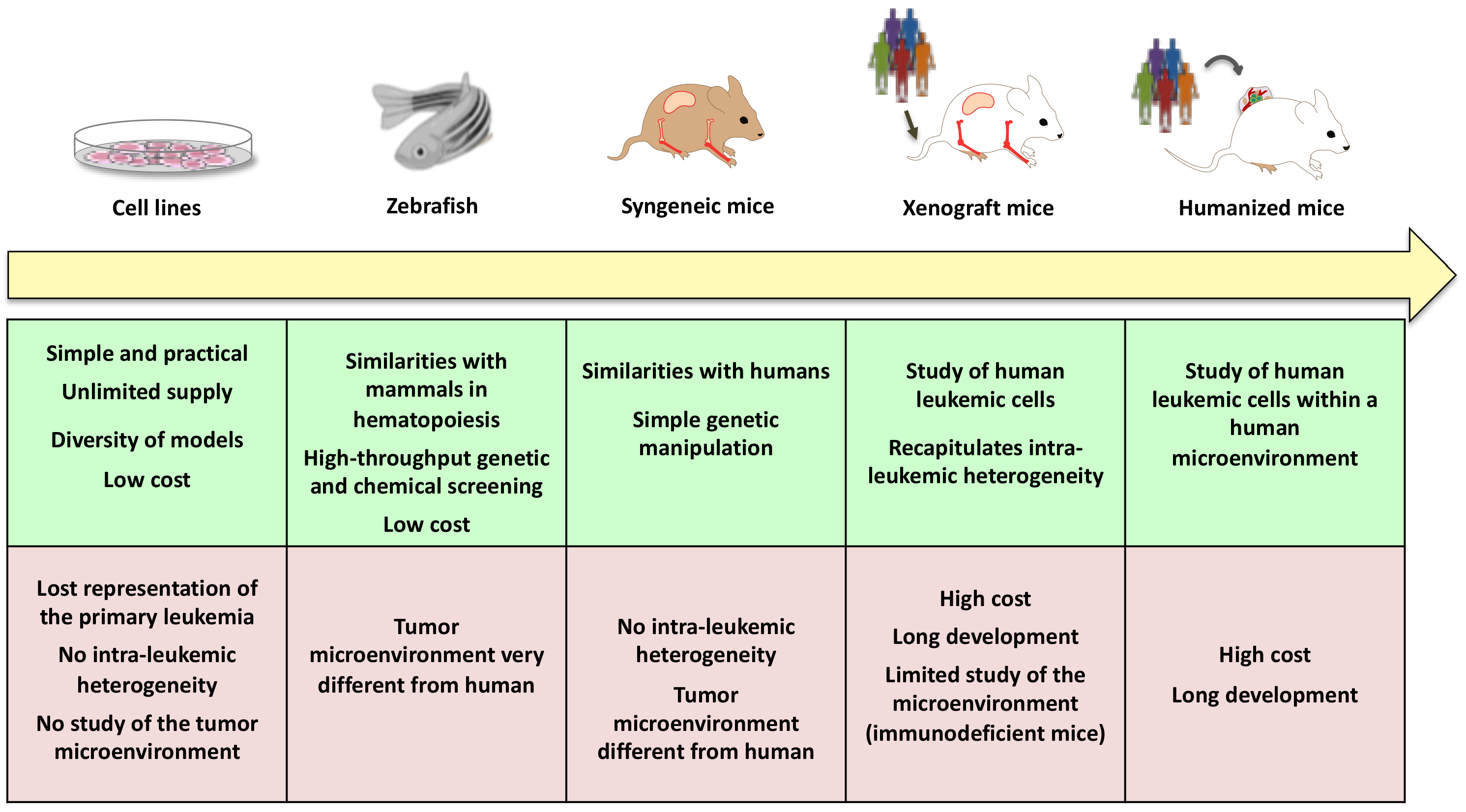 Cancers 13 00748 g004