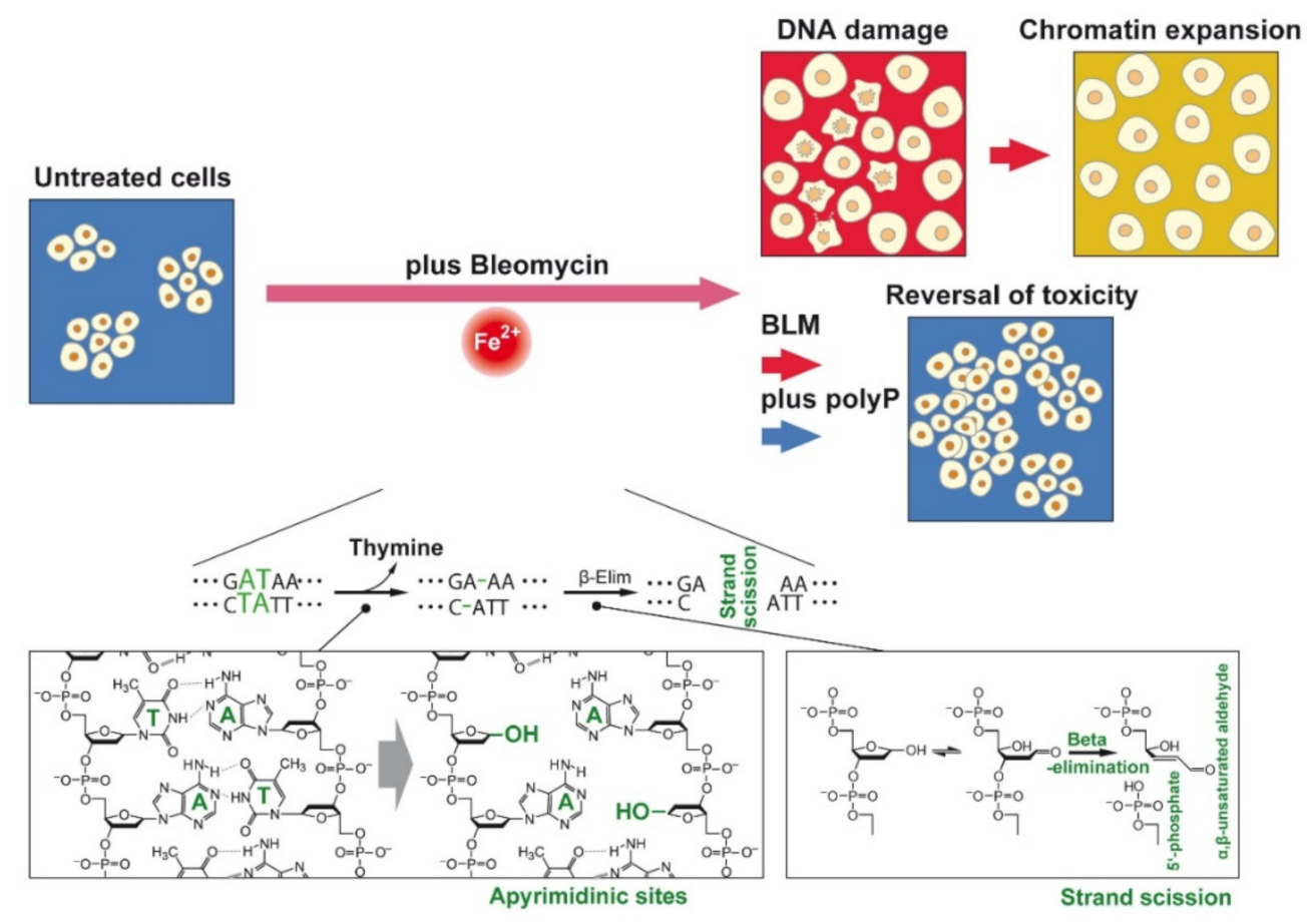 Cancers 13 00750 g002