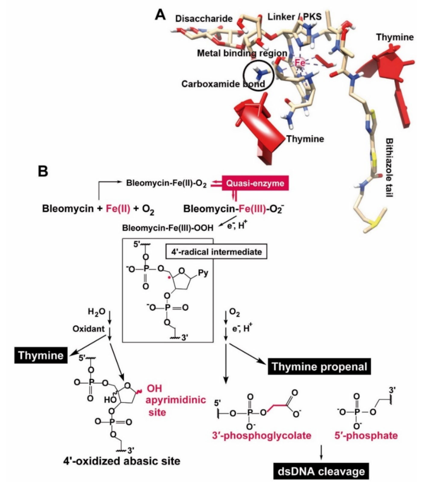 Cancers 13 00750 g011