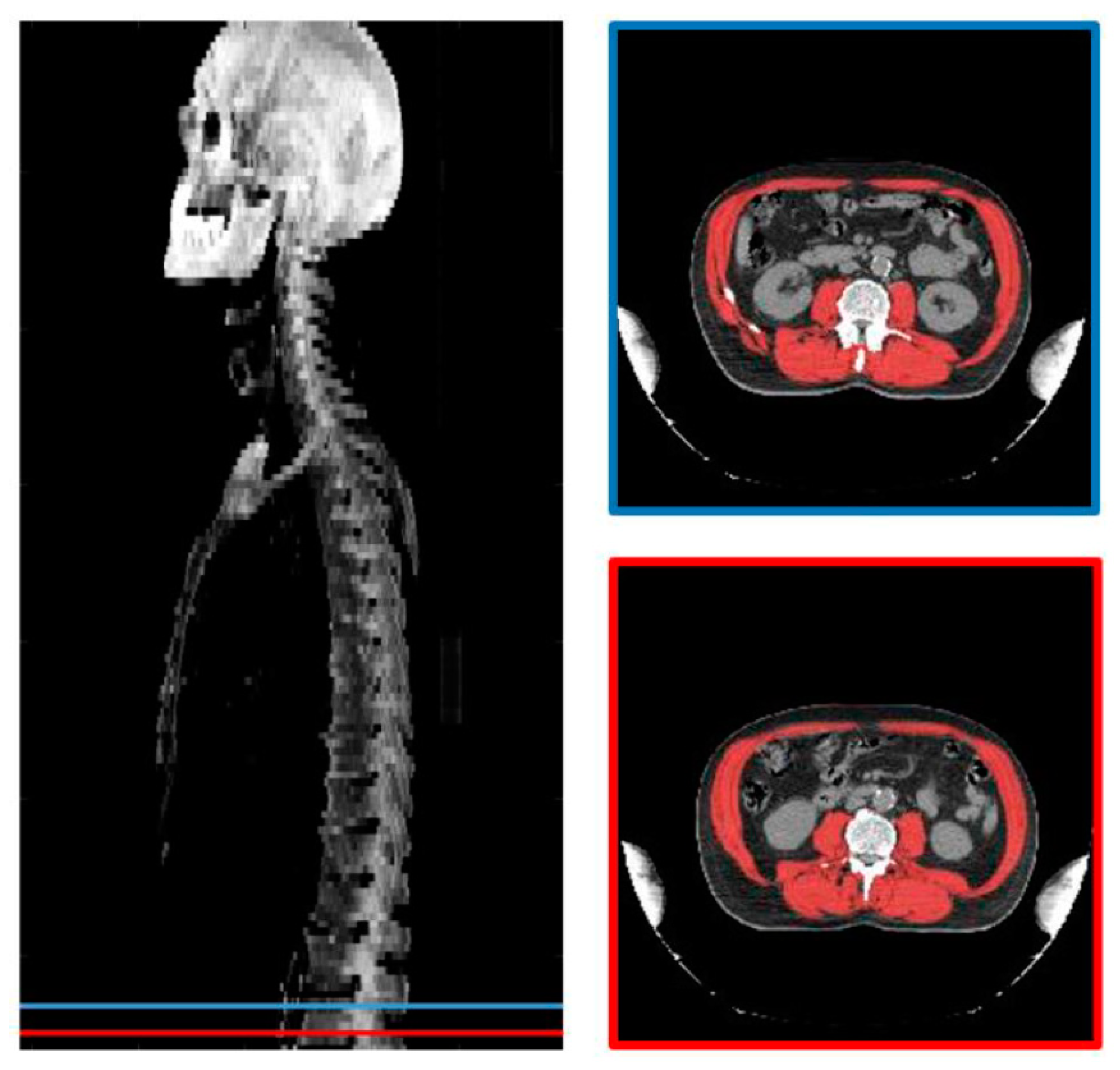 Cancers 13 00753 g001 Cancers 13 00753 g001