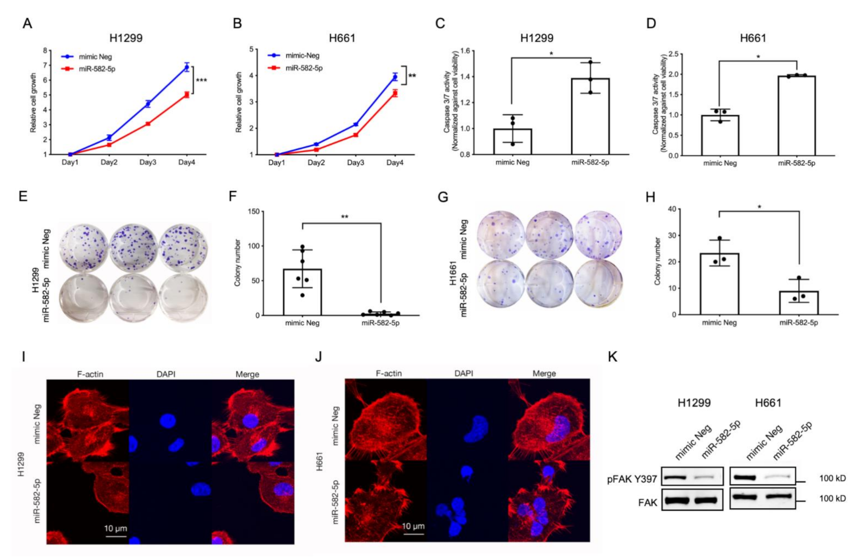 Tumor OTUB2 Promotes Cancer Metastasis via Hippo-Independent