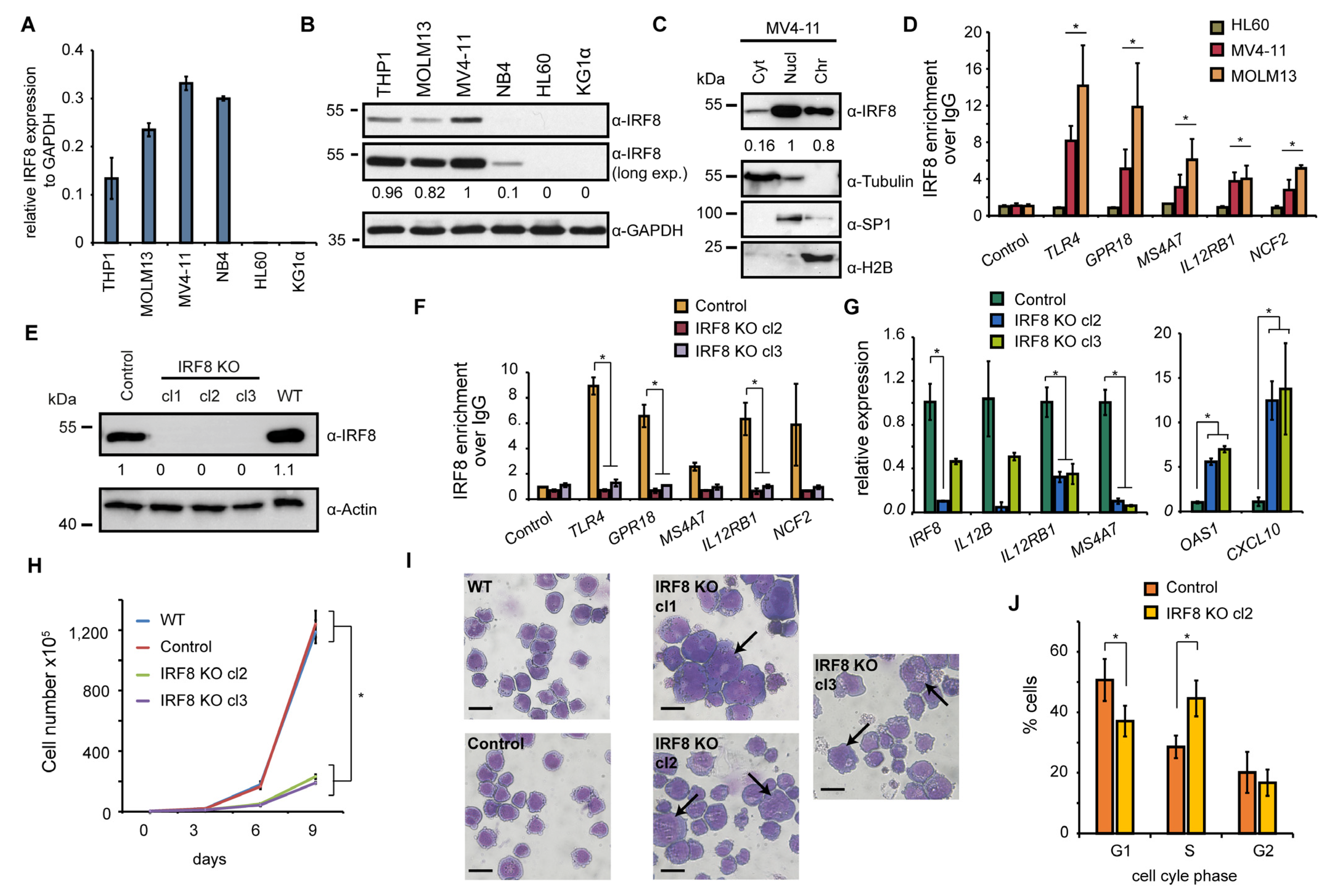 Cancers 13 00764 g003 Cancers 13 00764 g003