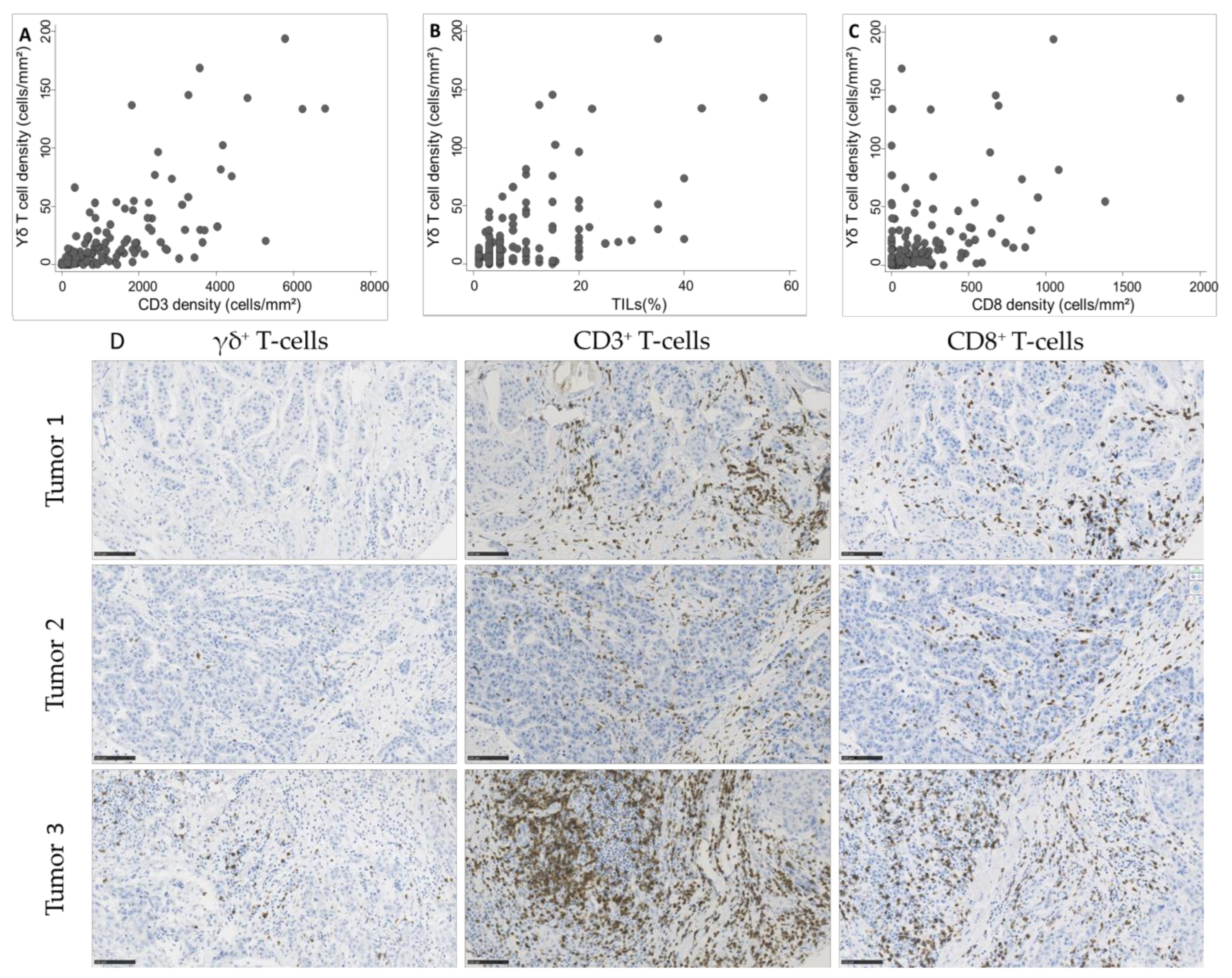 Cancers 13 00765 g003