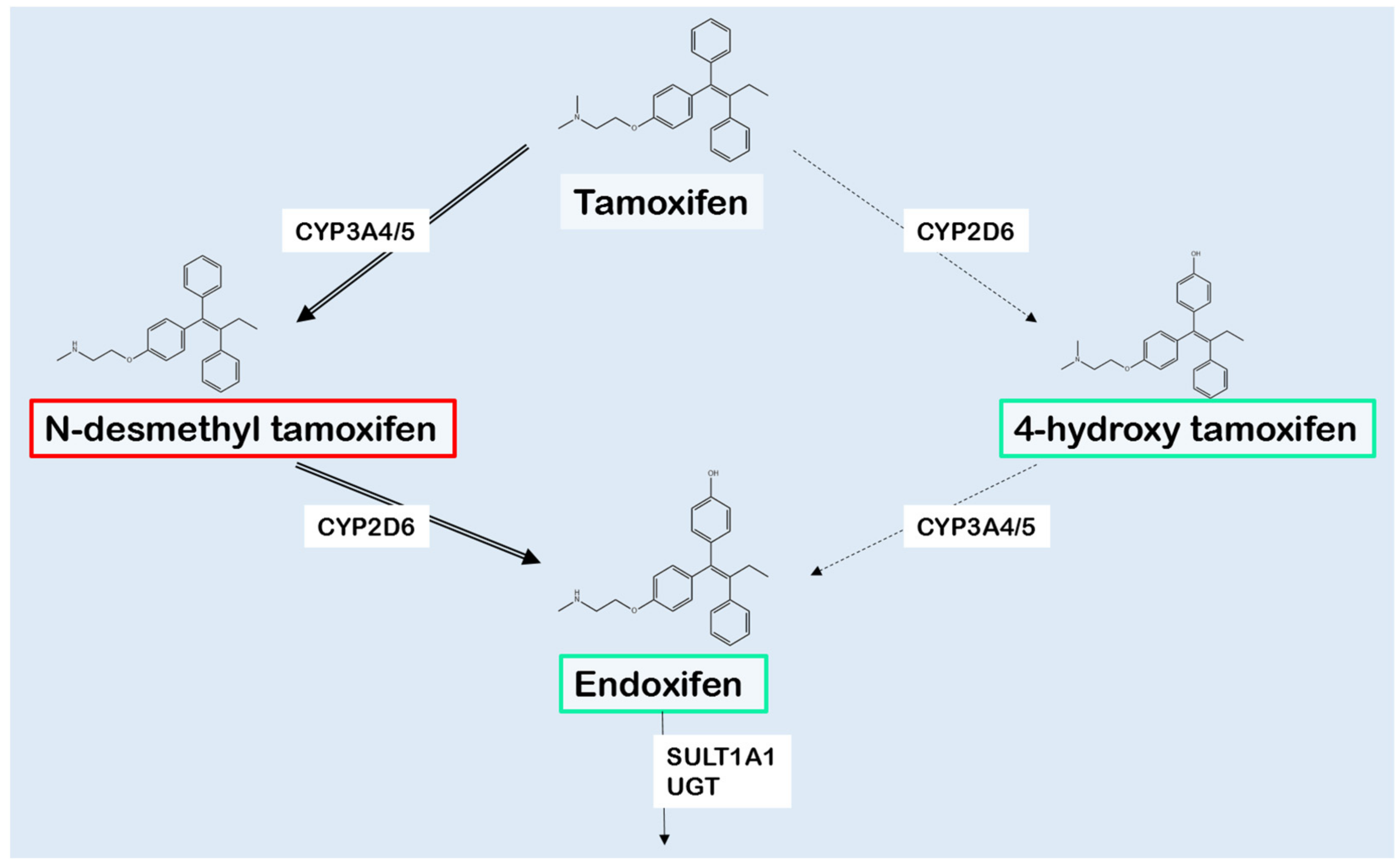 CYP2D6 polymorphisms influence tamoxifen treatment outcomes in