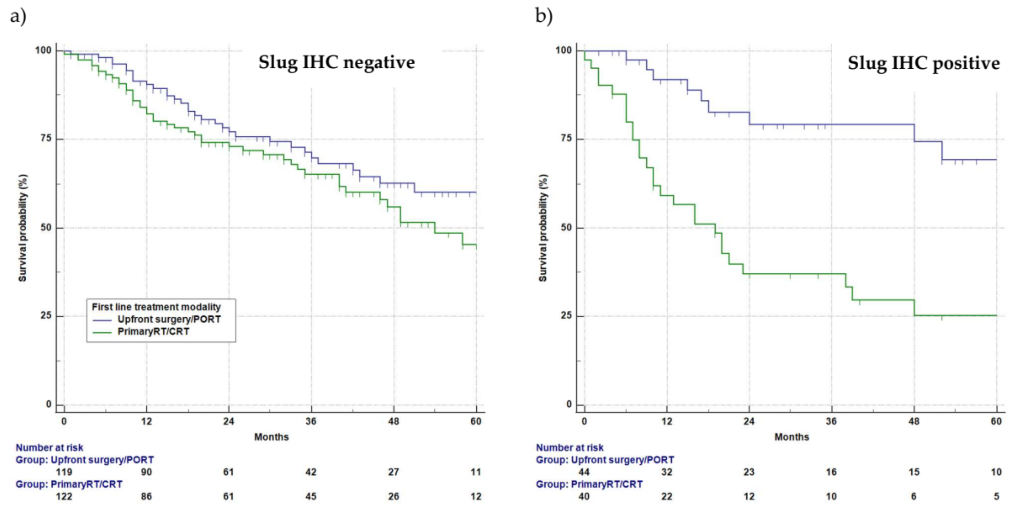 Cancers 13 00772 g004 Cancers 13 00772 g004