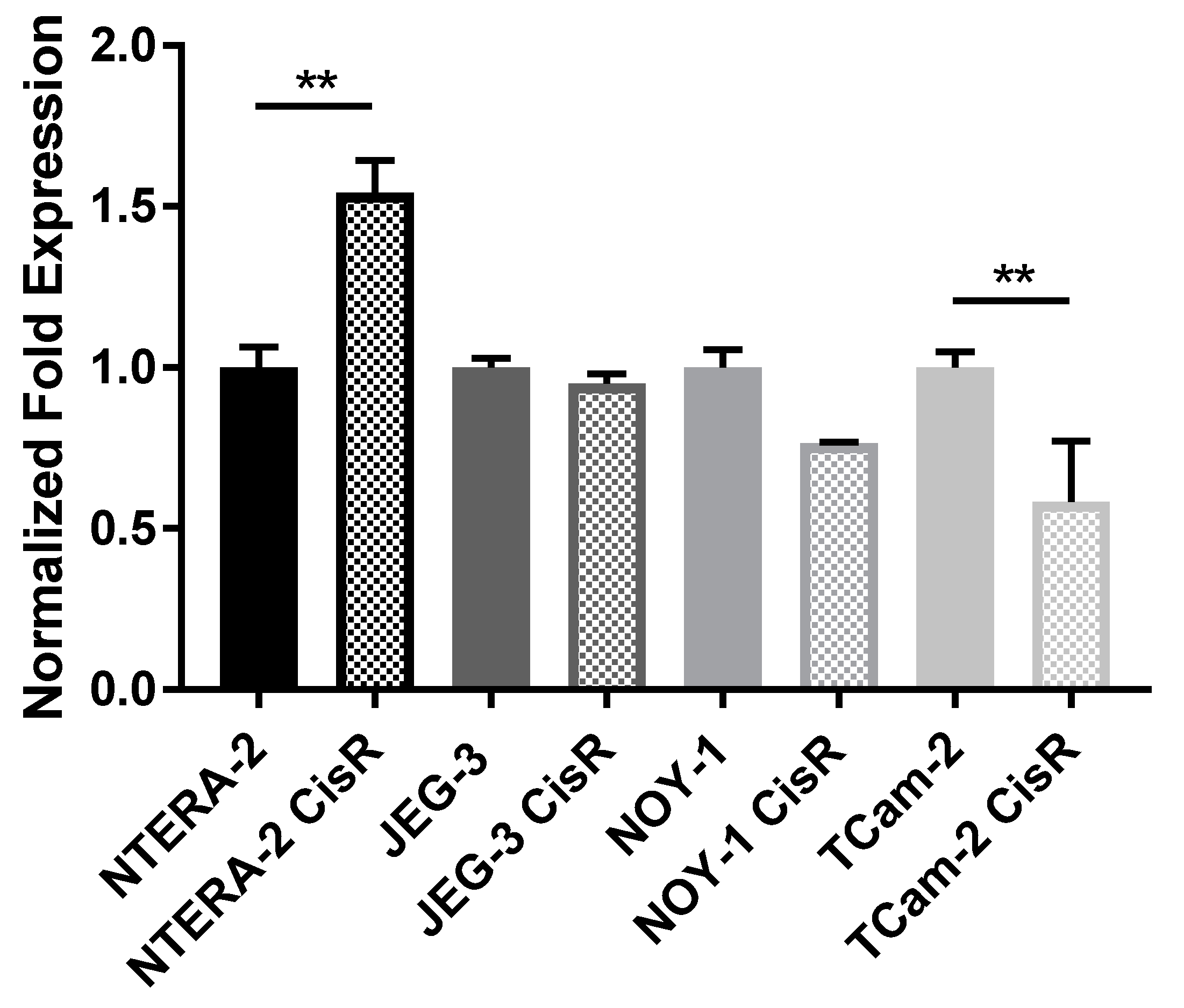 Cancers 13 00776 g001