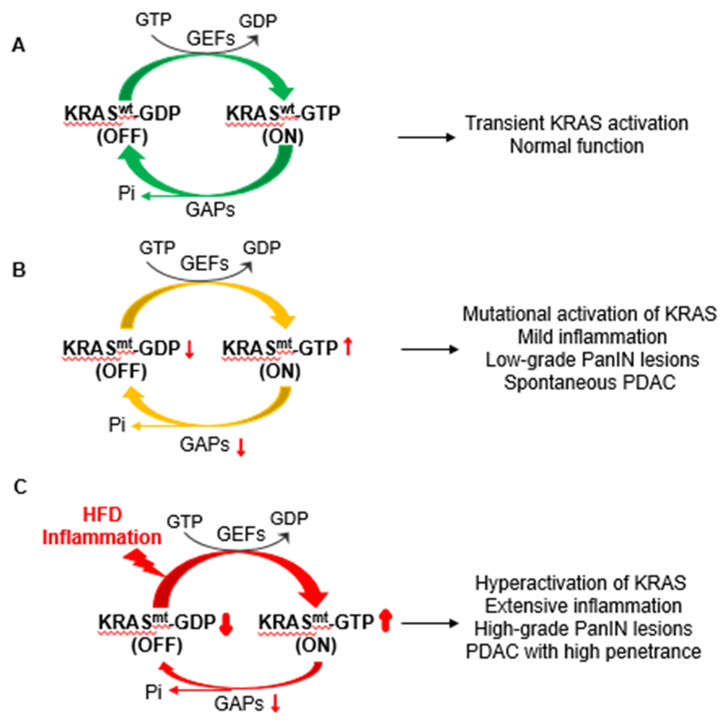 Cancers 13 00778 g001 Cancers 13 00778 g001