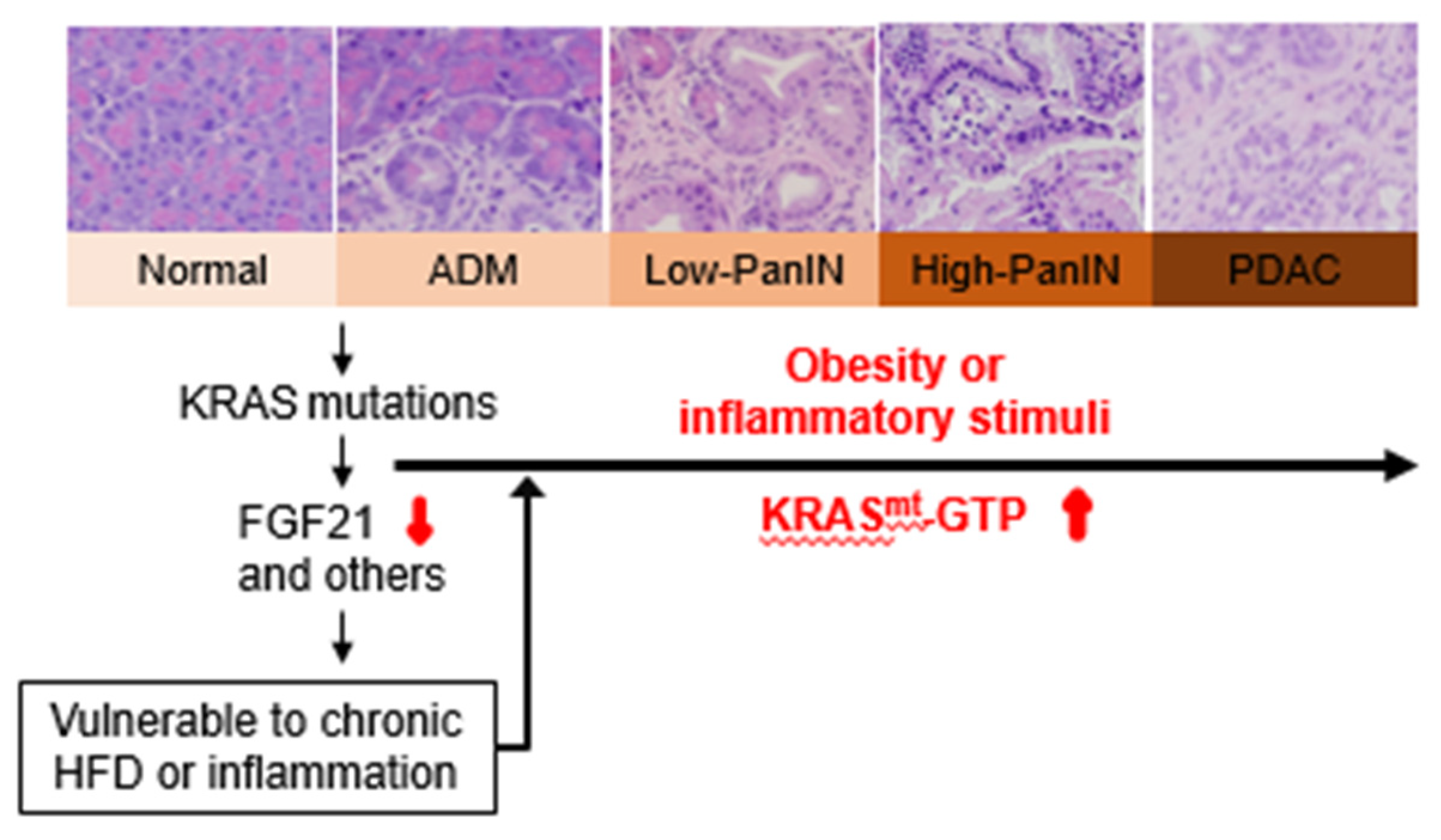 Cancers 13 00778 g002 Cancers 13 00778 g002