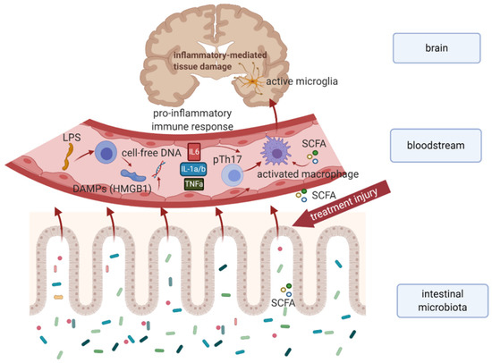 Cancers 13 00782 g001 550