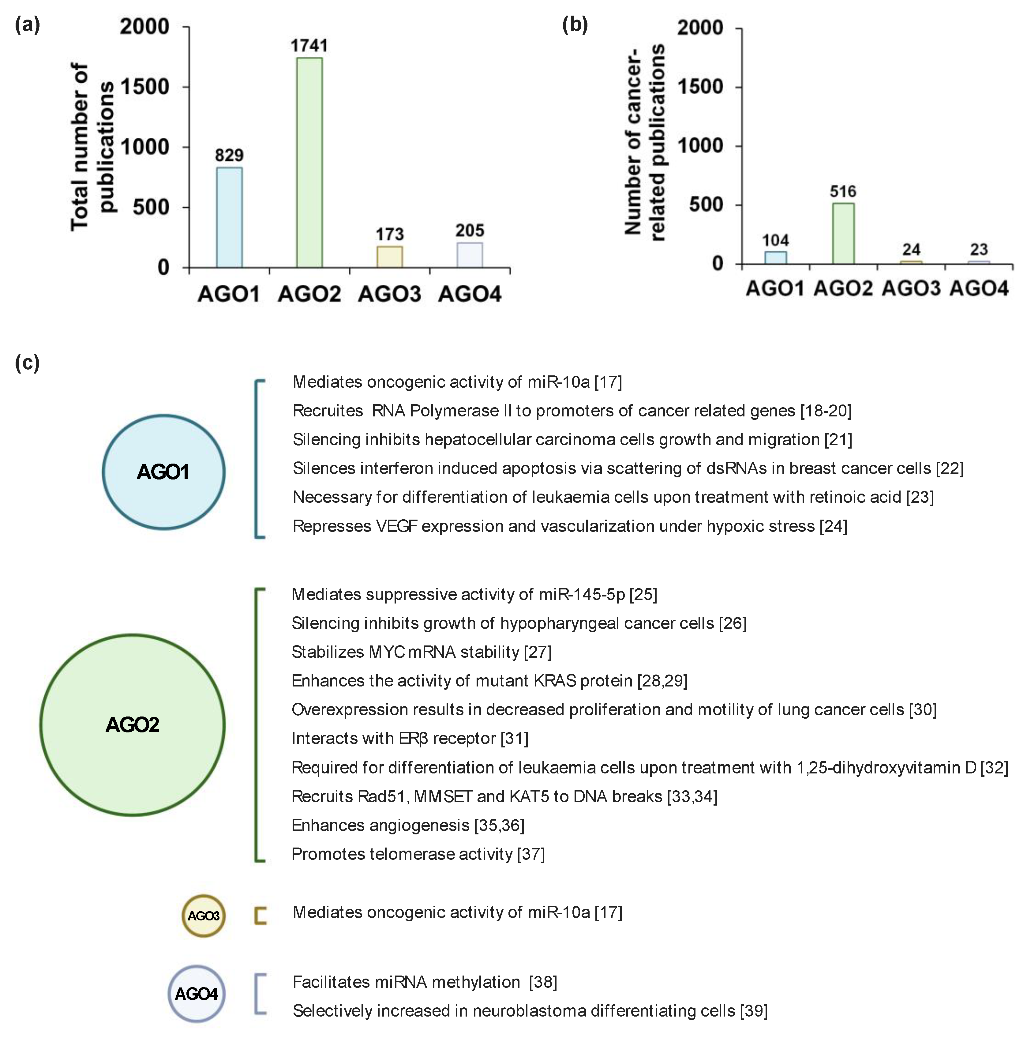 Cancers 13 00788 g001
