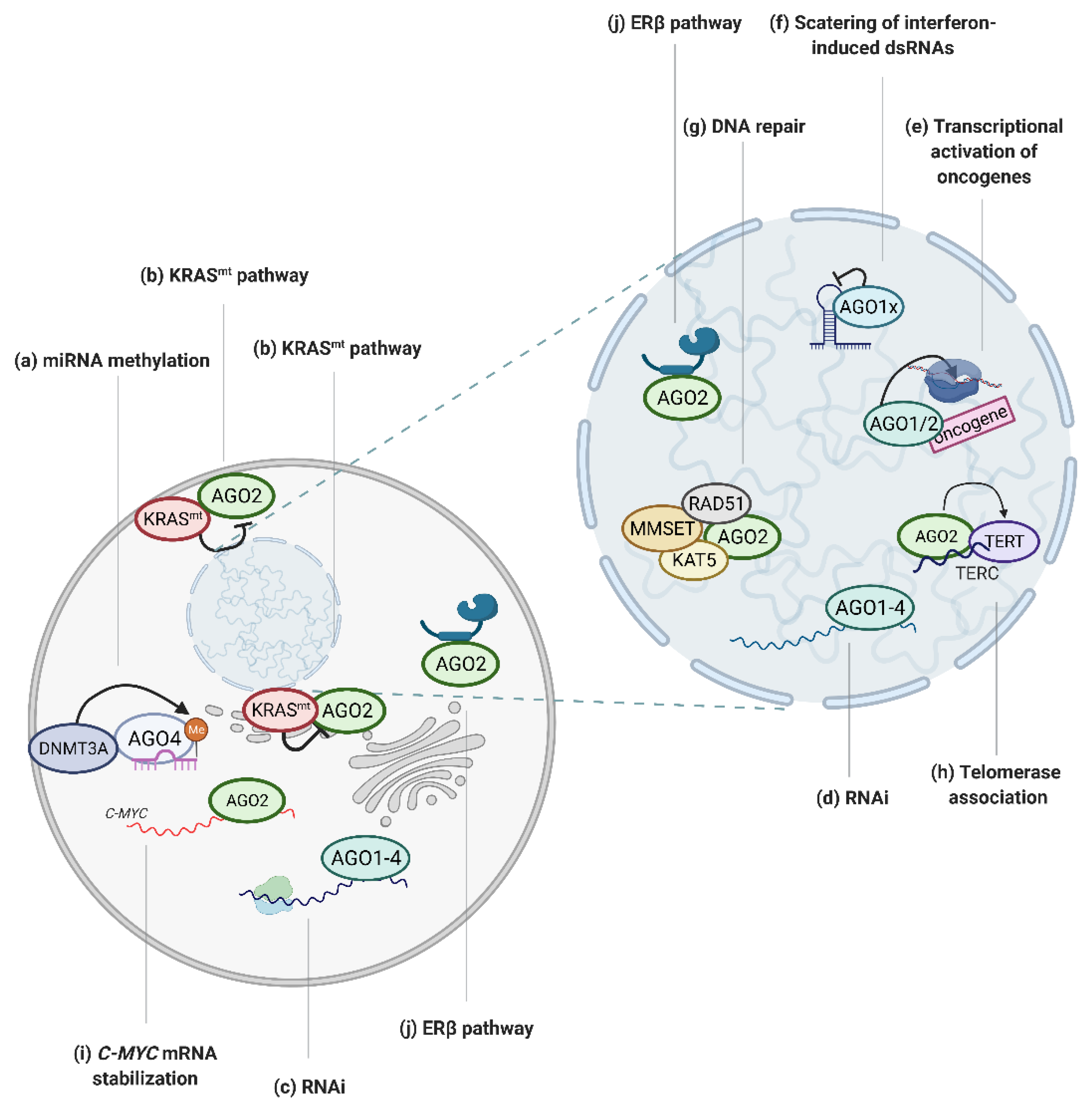 Cancers 13 00788 g002