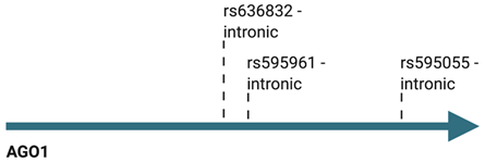 Cancers 13 00788 i001