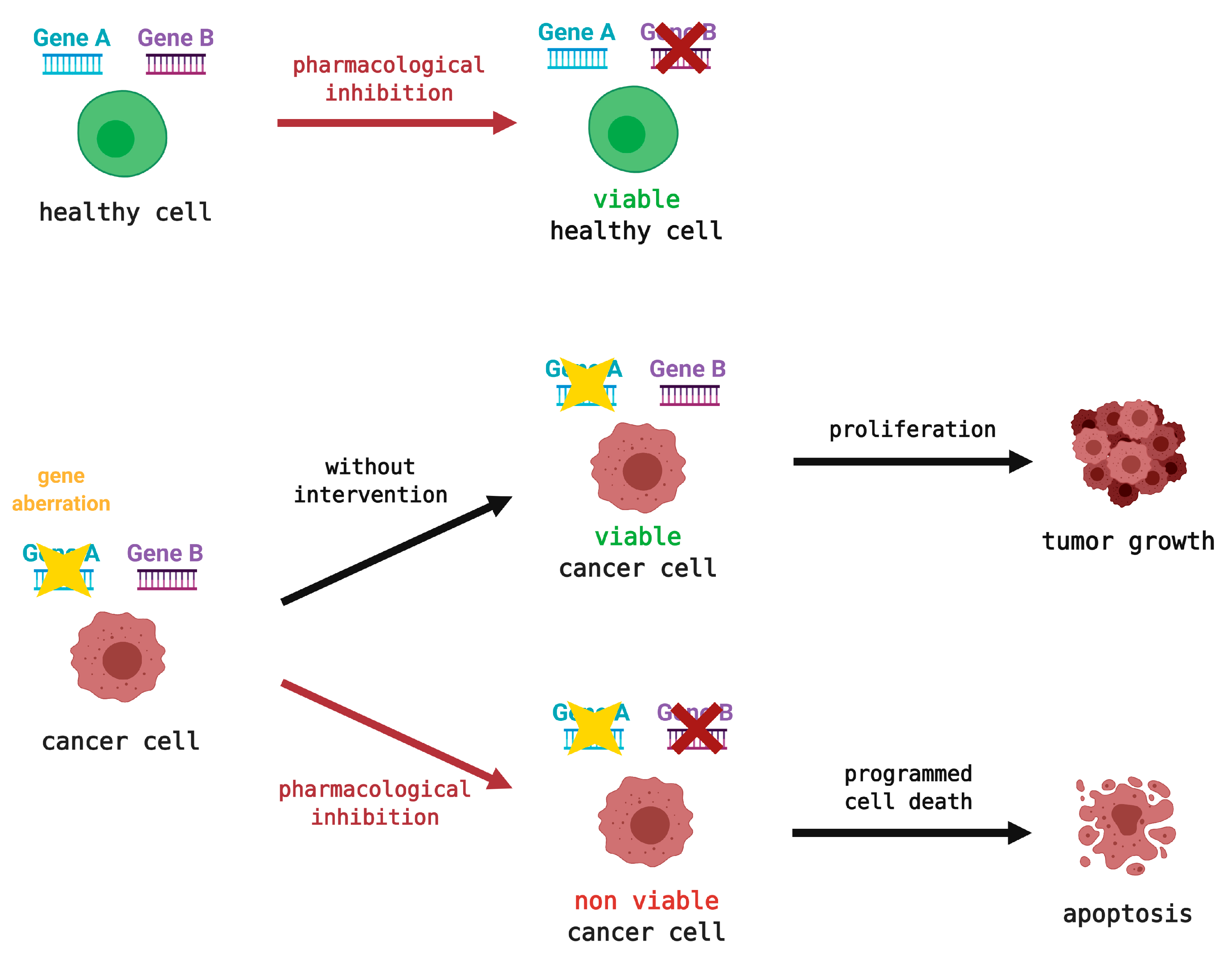 Cancers 13 00795 g005