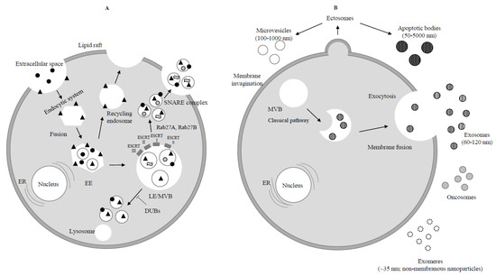 Cancers 13 00822 g001 550
