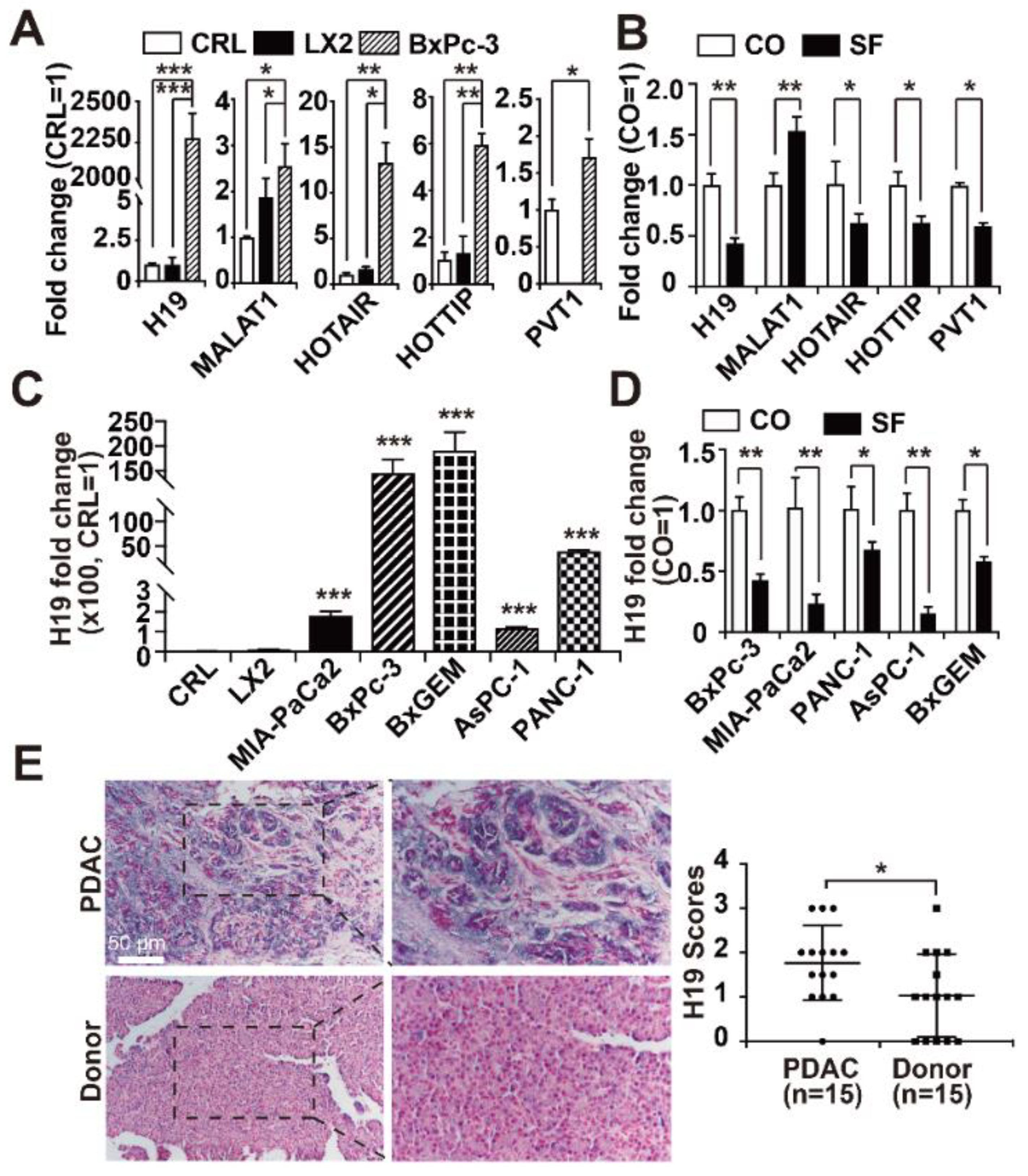 Cancers 13 00827 g001 Cancers 13 00827 g001