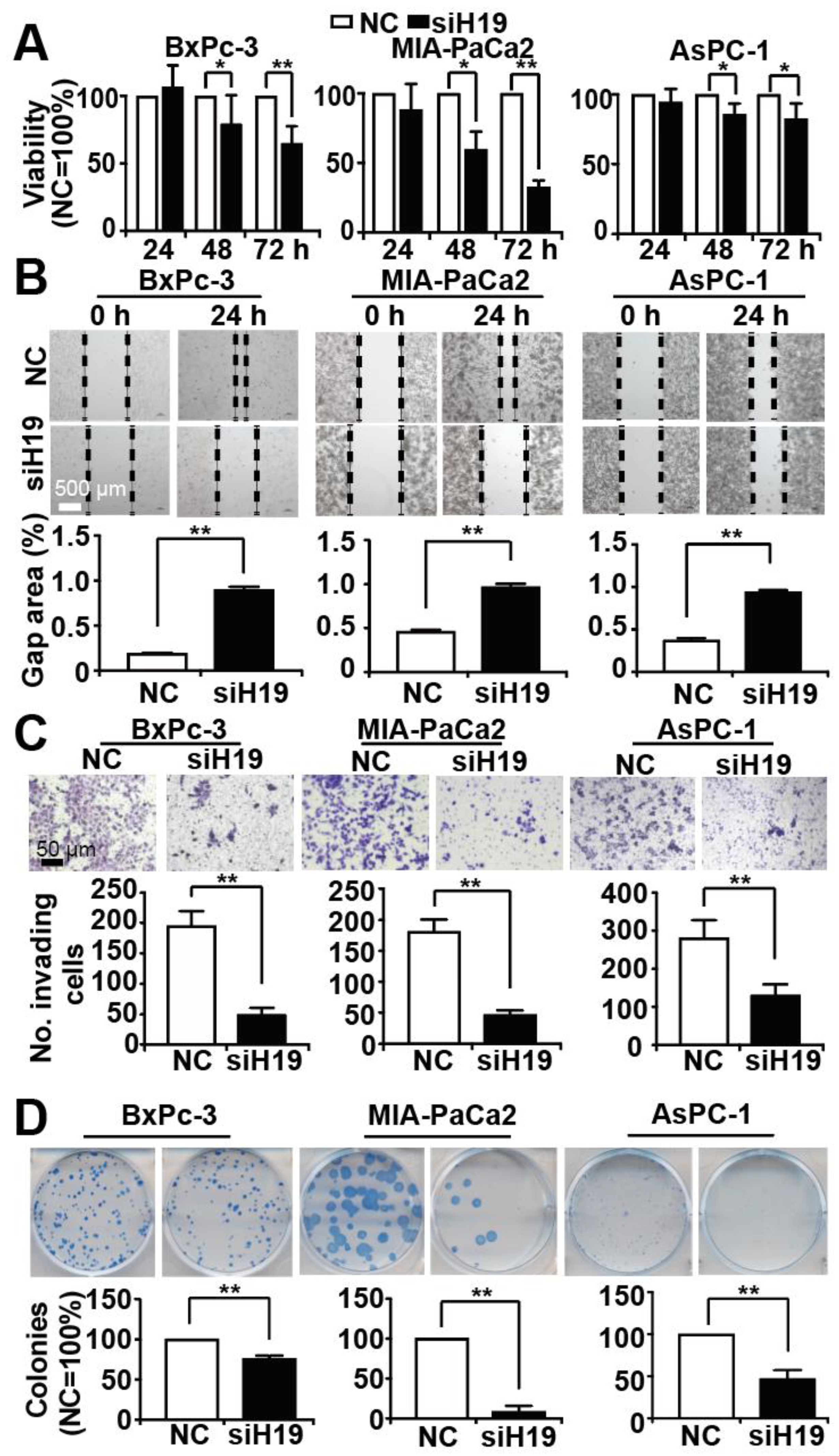 Cancers 13 00827 g002 Cancers 13 00827 g002