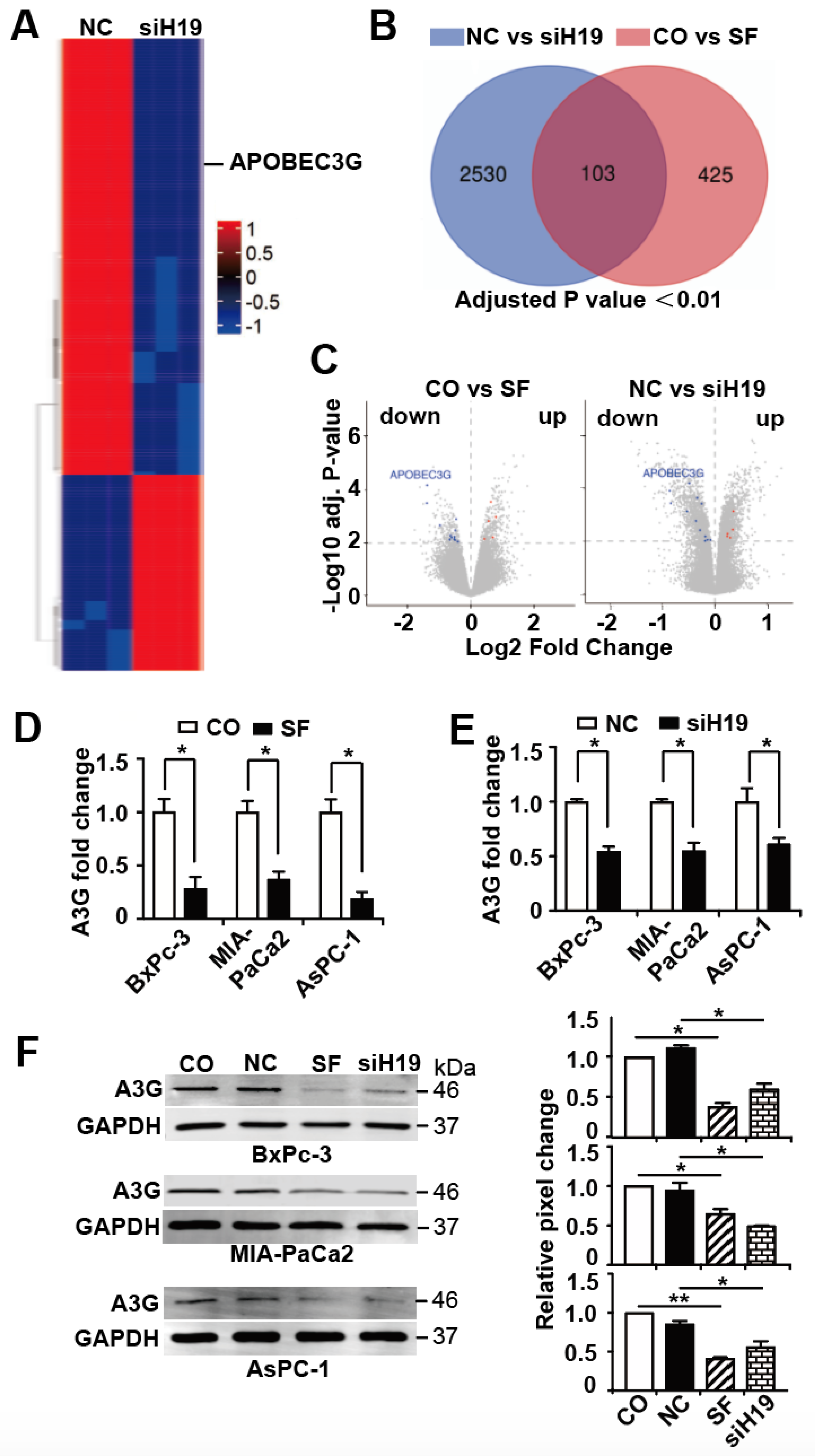 Cancers 13 00827 g003 Cancers 13 00827 g003
