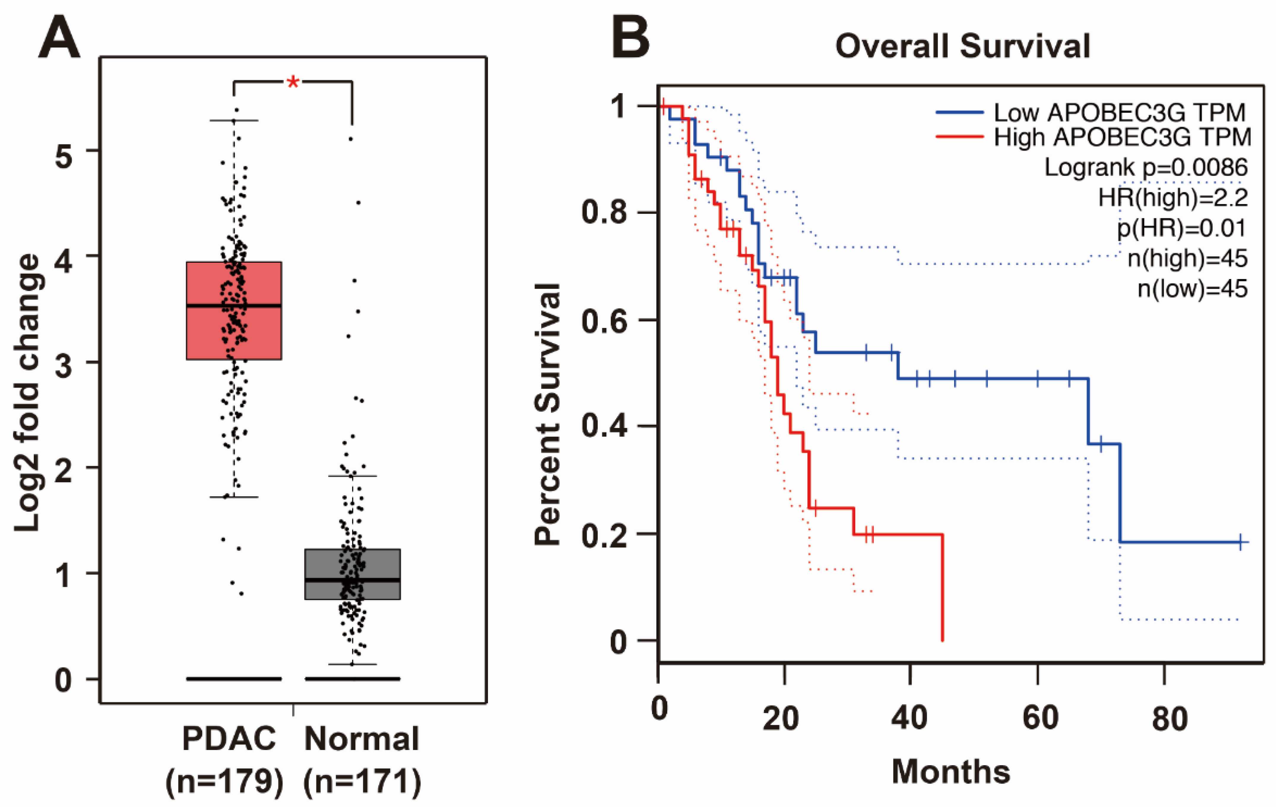 Cancers 13 00827 g004 Cancers 13 00827 g004