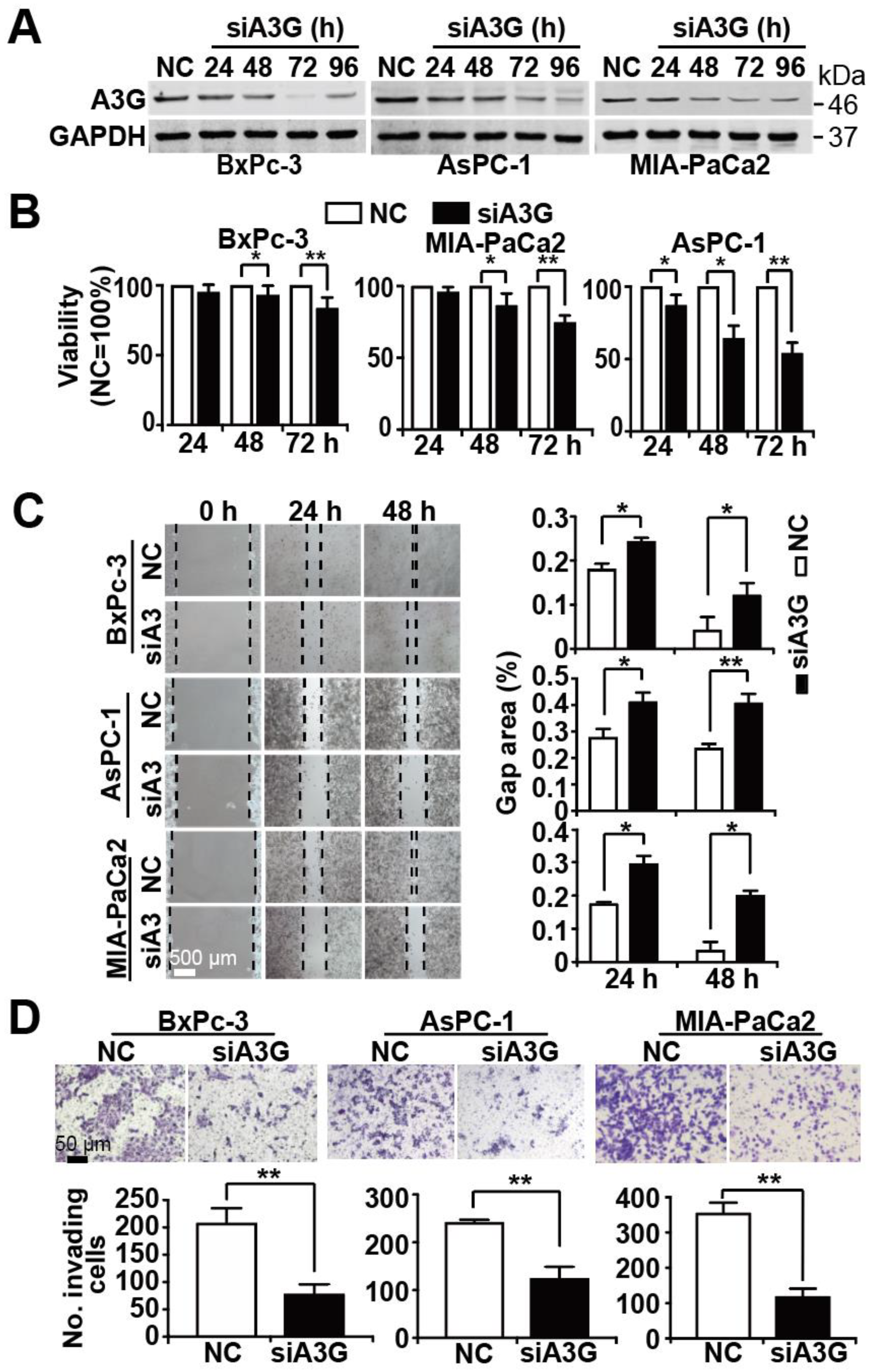Cancers 13 00827 g005 Cancers 13 00827 g005