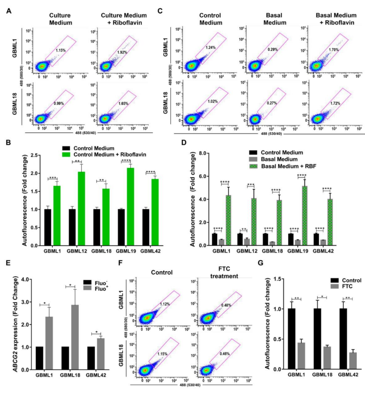 Cancers 13 00828 g005 Cancers 13 00828 g005