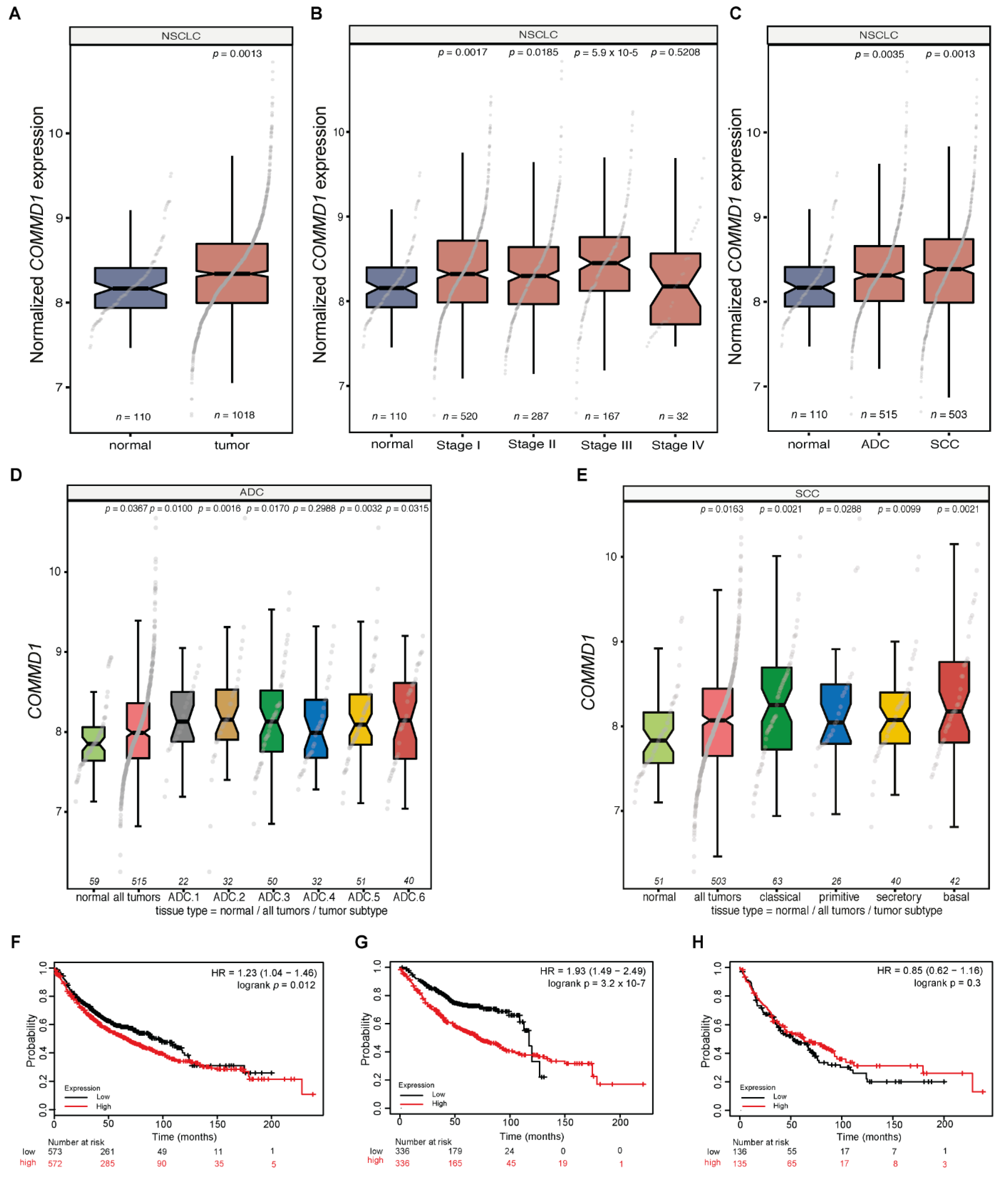 Cancers 13 00830 g002 Cancers 13 00830 g002