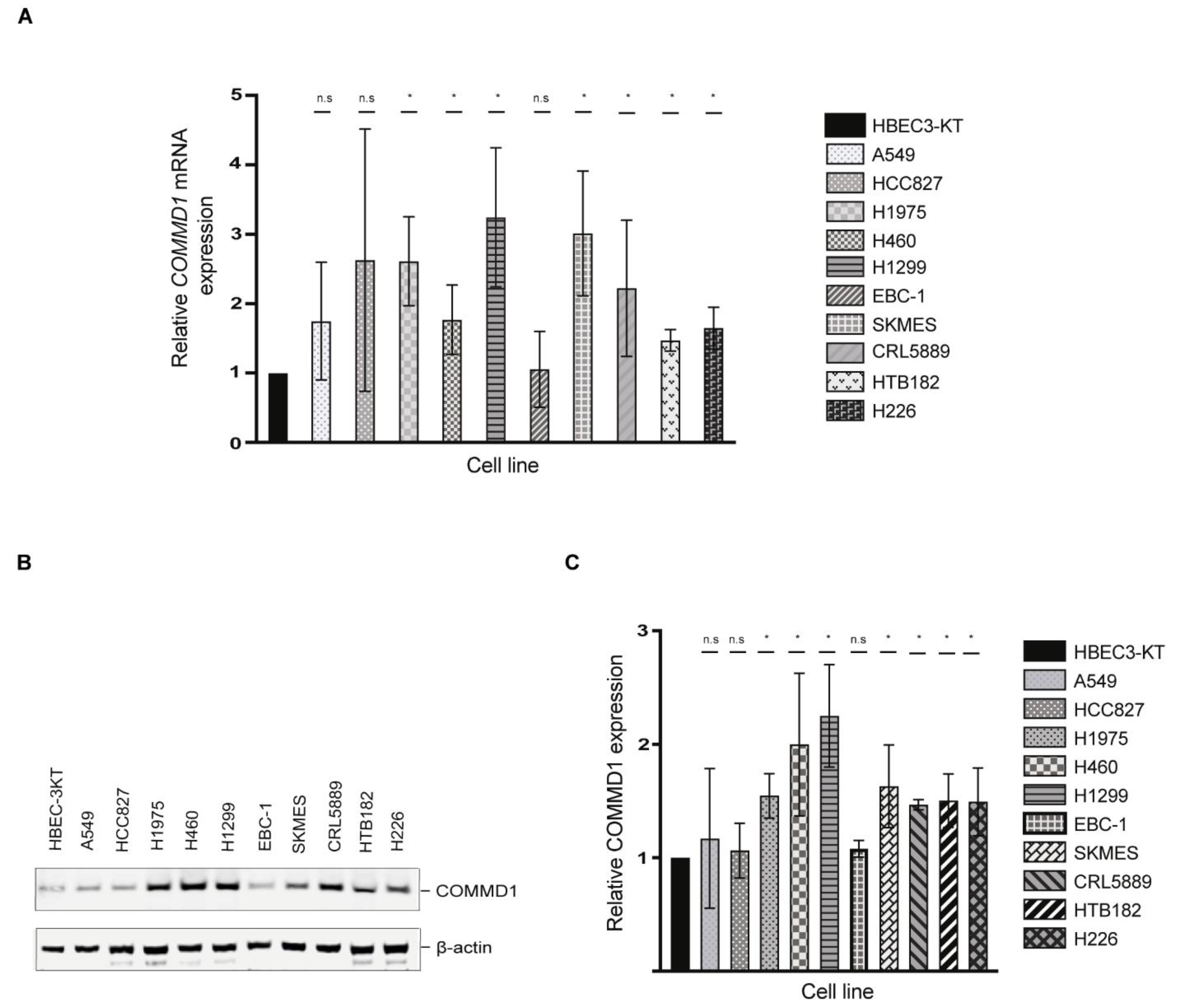 Cancers 13 00830 g003 Cancers 13 00830 g003