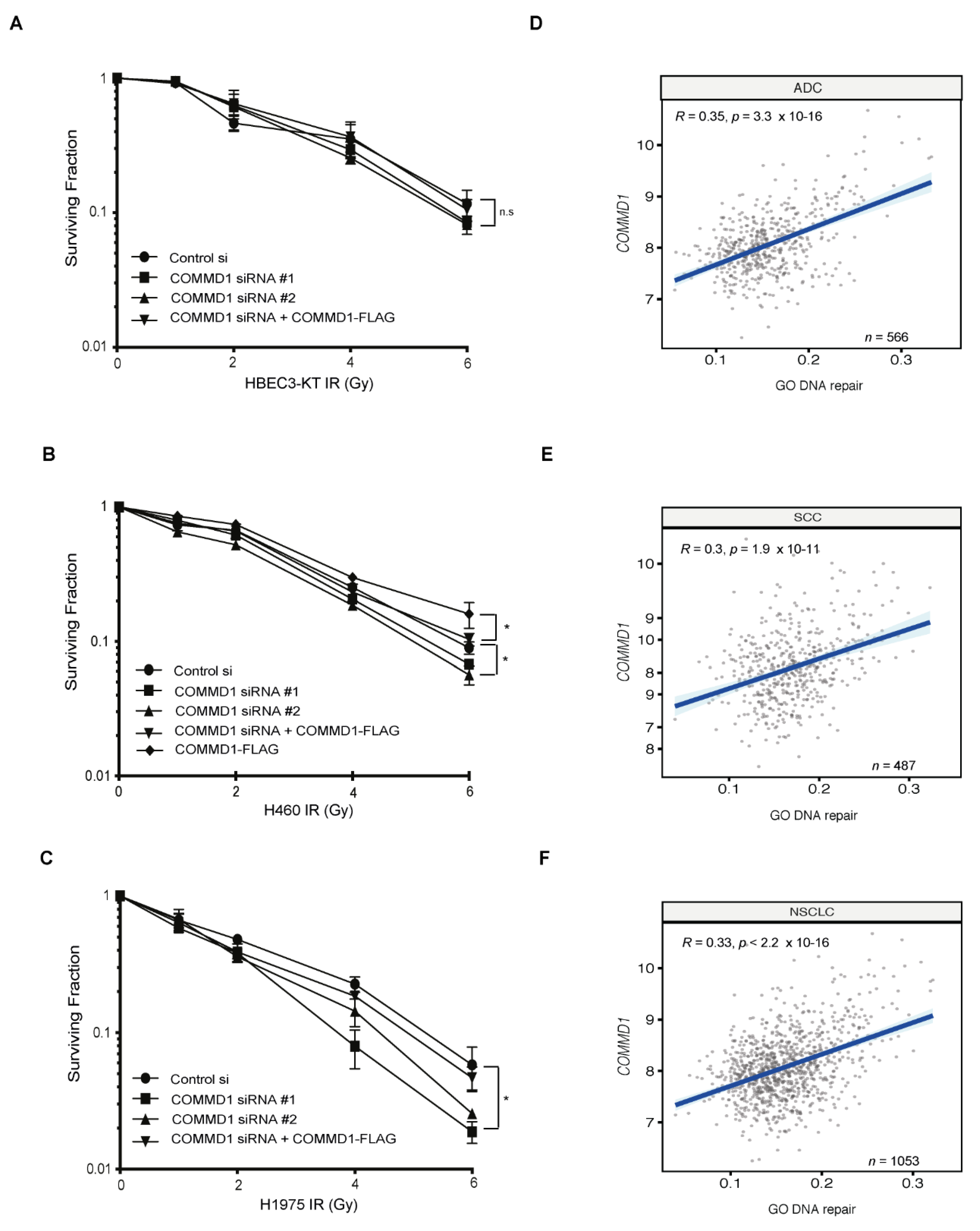 Cancers 13 00830 g005 Cancers 13 00830 g005
