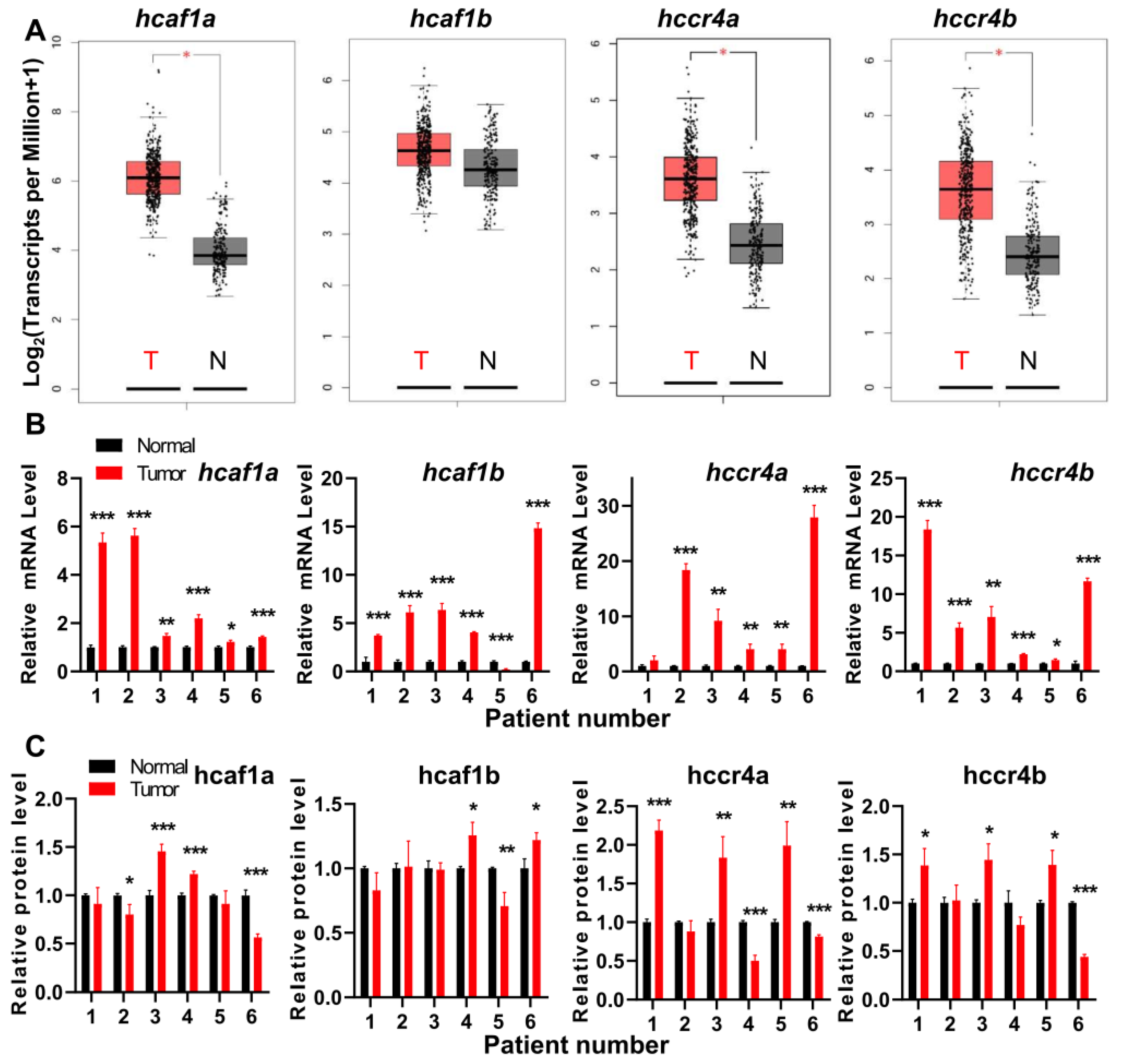 Cancers 13 00834 g001 Cancers 13 00834 g001