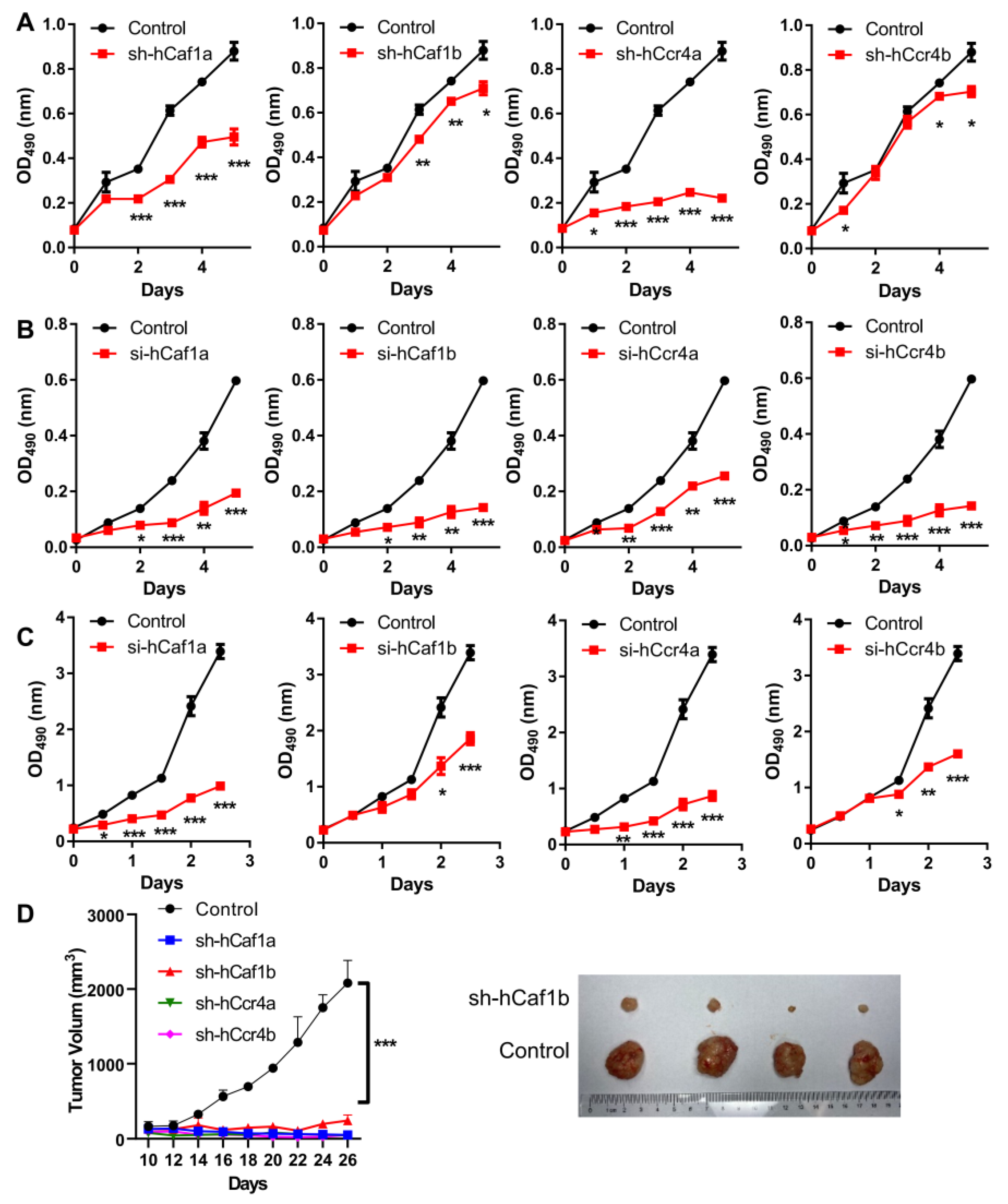Cancers 13 00834 g002 Cancers 13 00834 g002