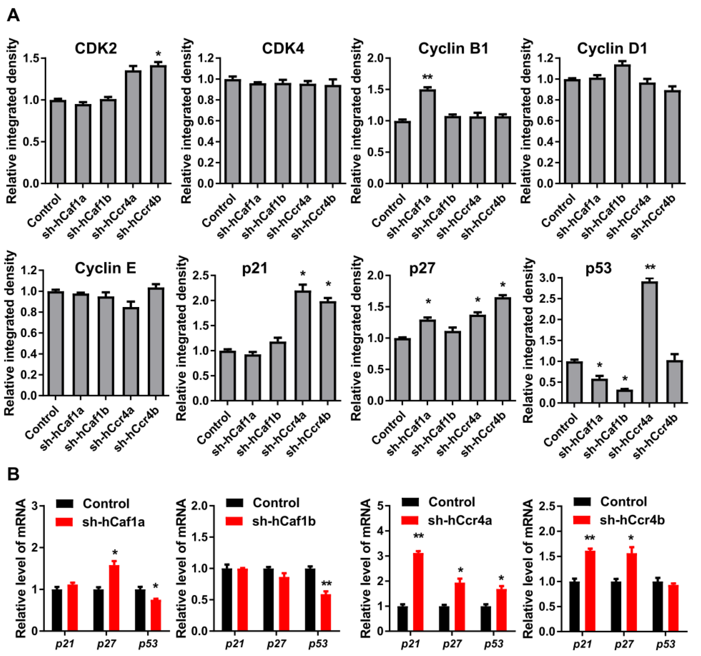 Cancers 13 00834 g004 Cancers 13 00834 g004