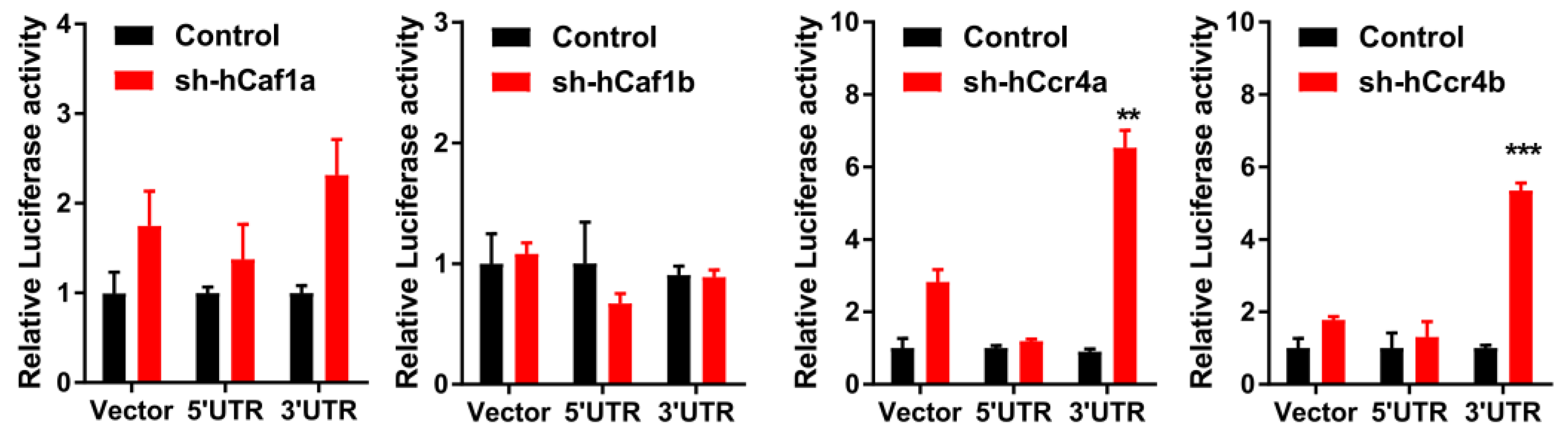 Cancers 13 00834 g006 Cancers 13 00834 g006