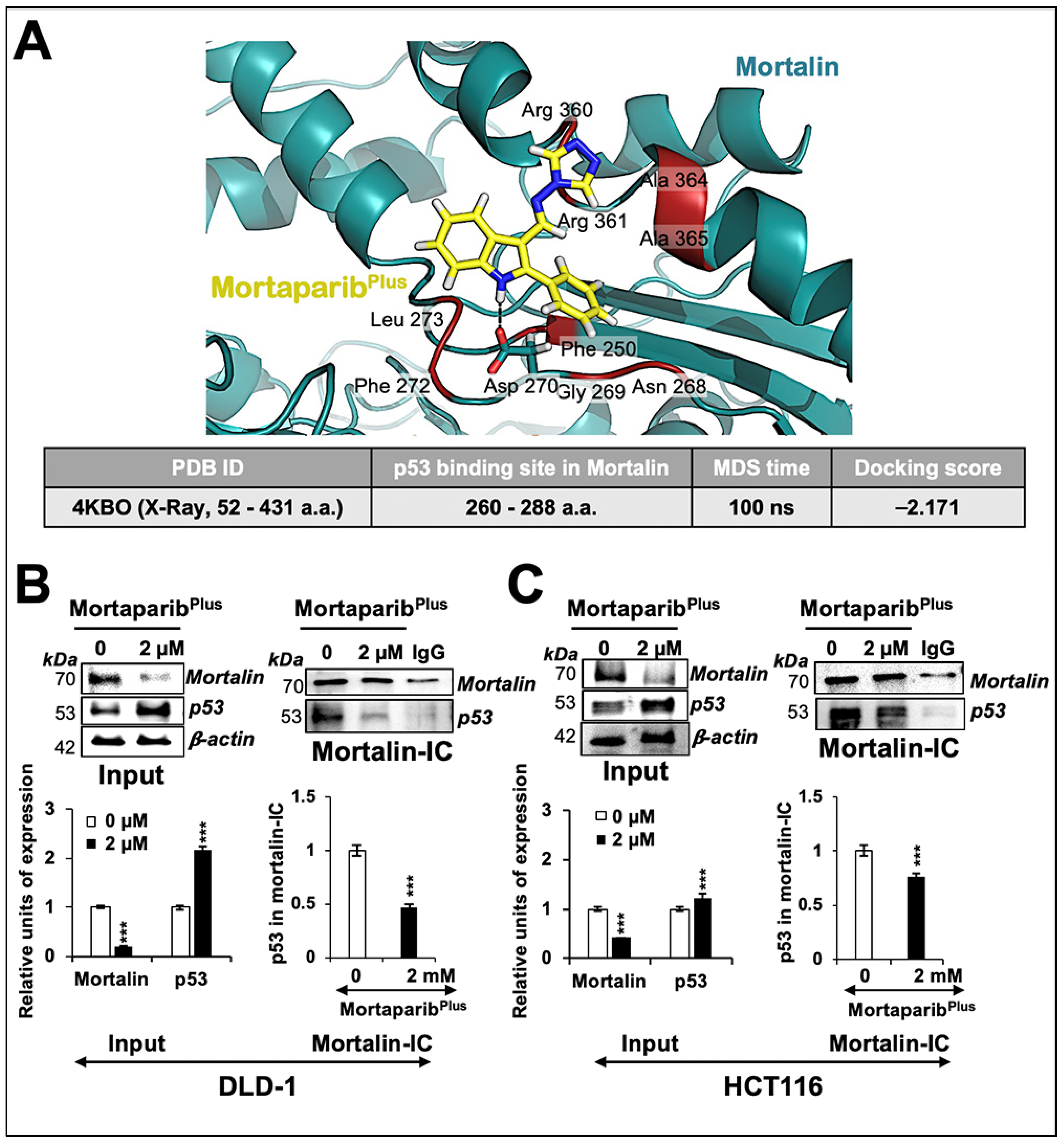 Cancers 13 00835 g002