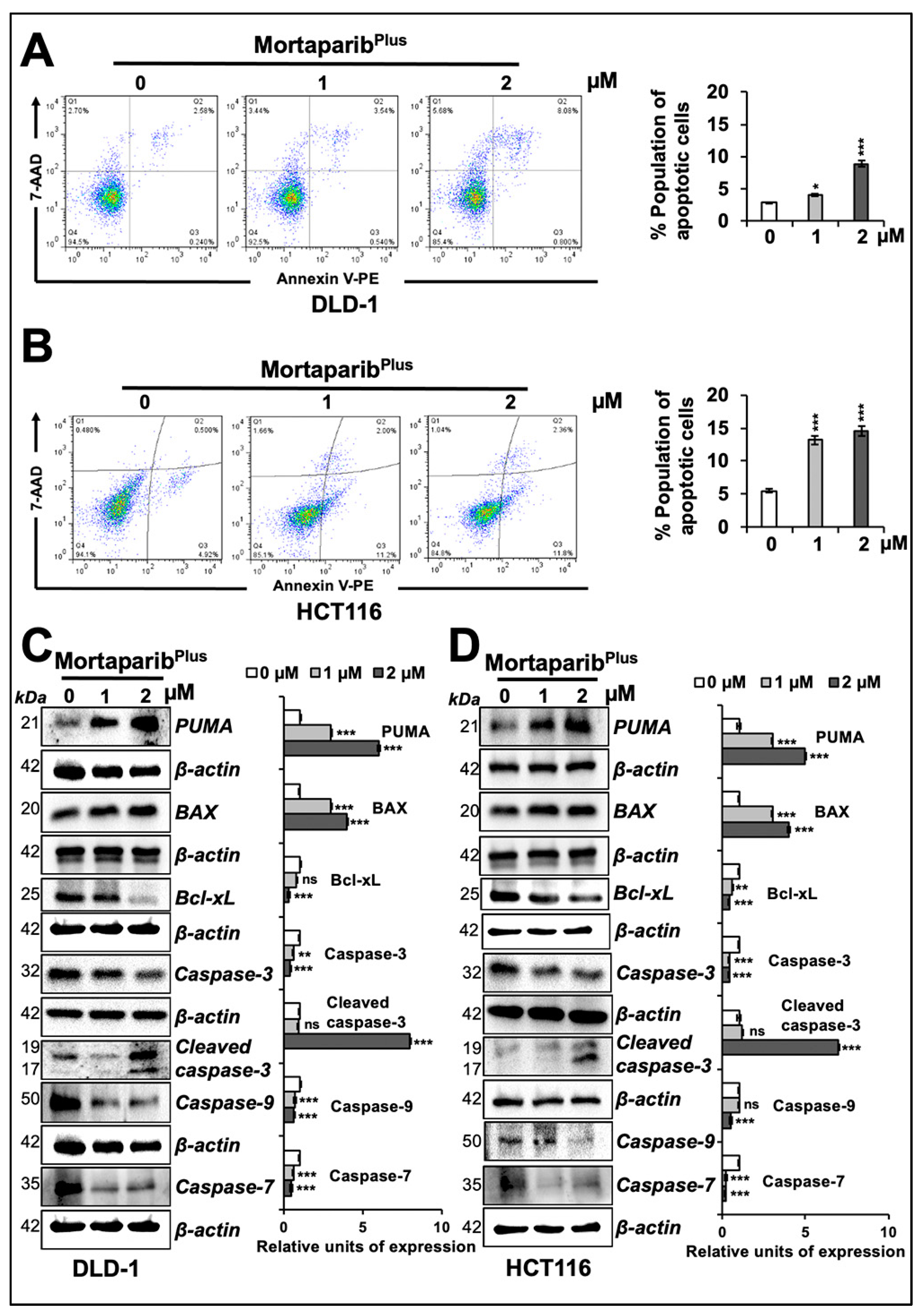 Cancers 13 00835 g004