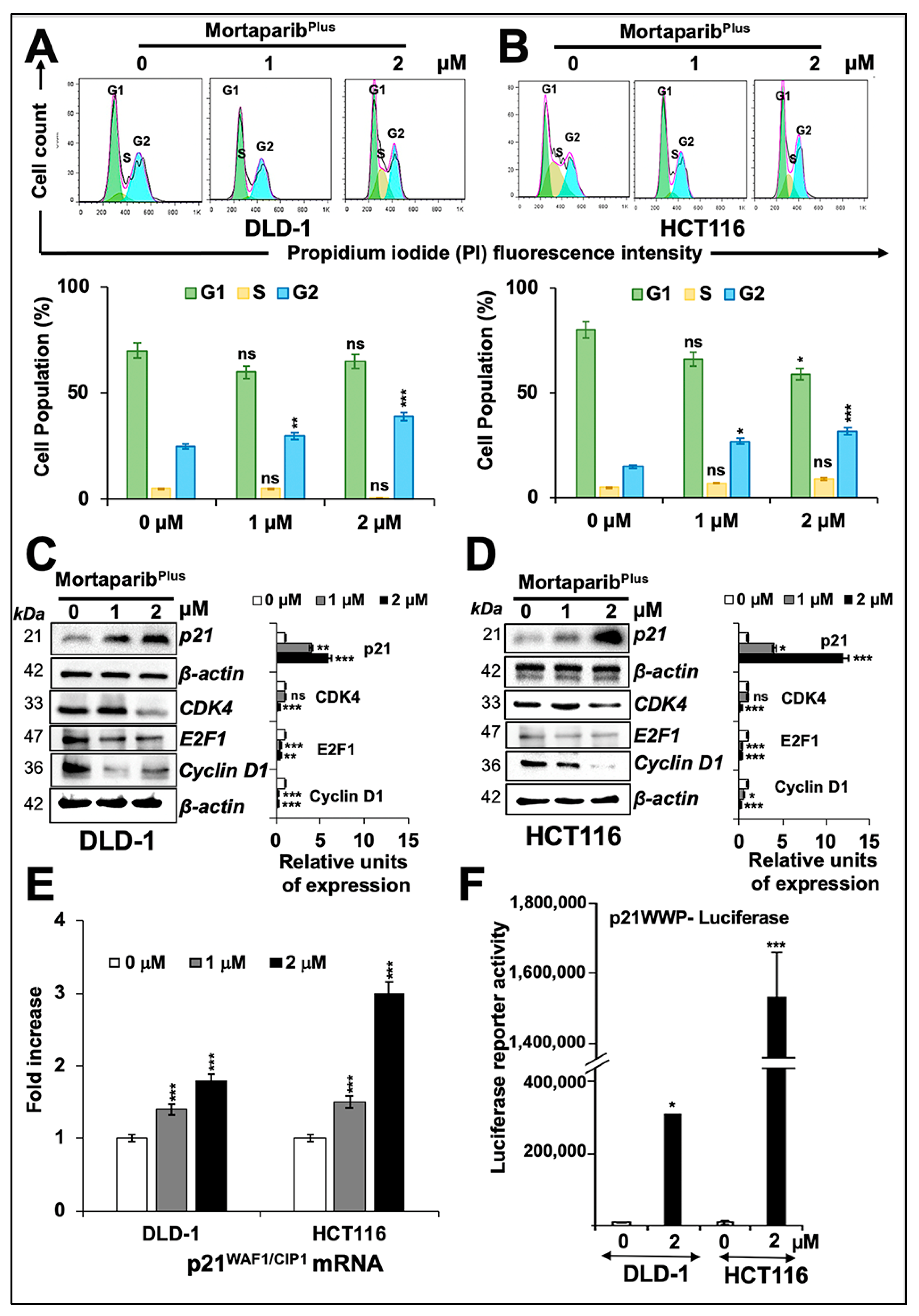 Cancers 13 00835 g005