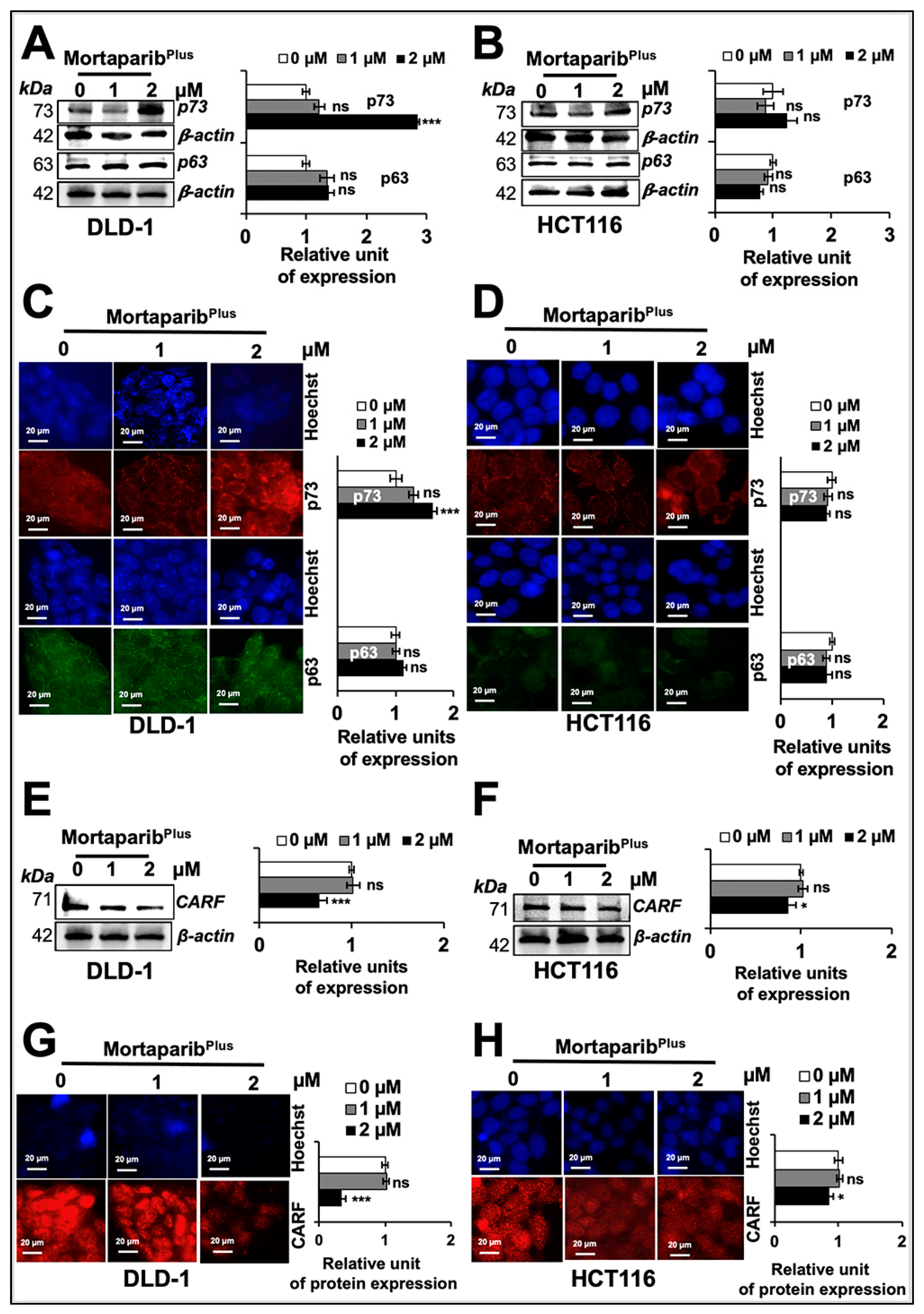 Cancers 13 00835 g006