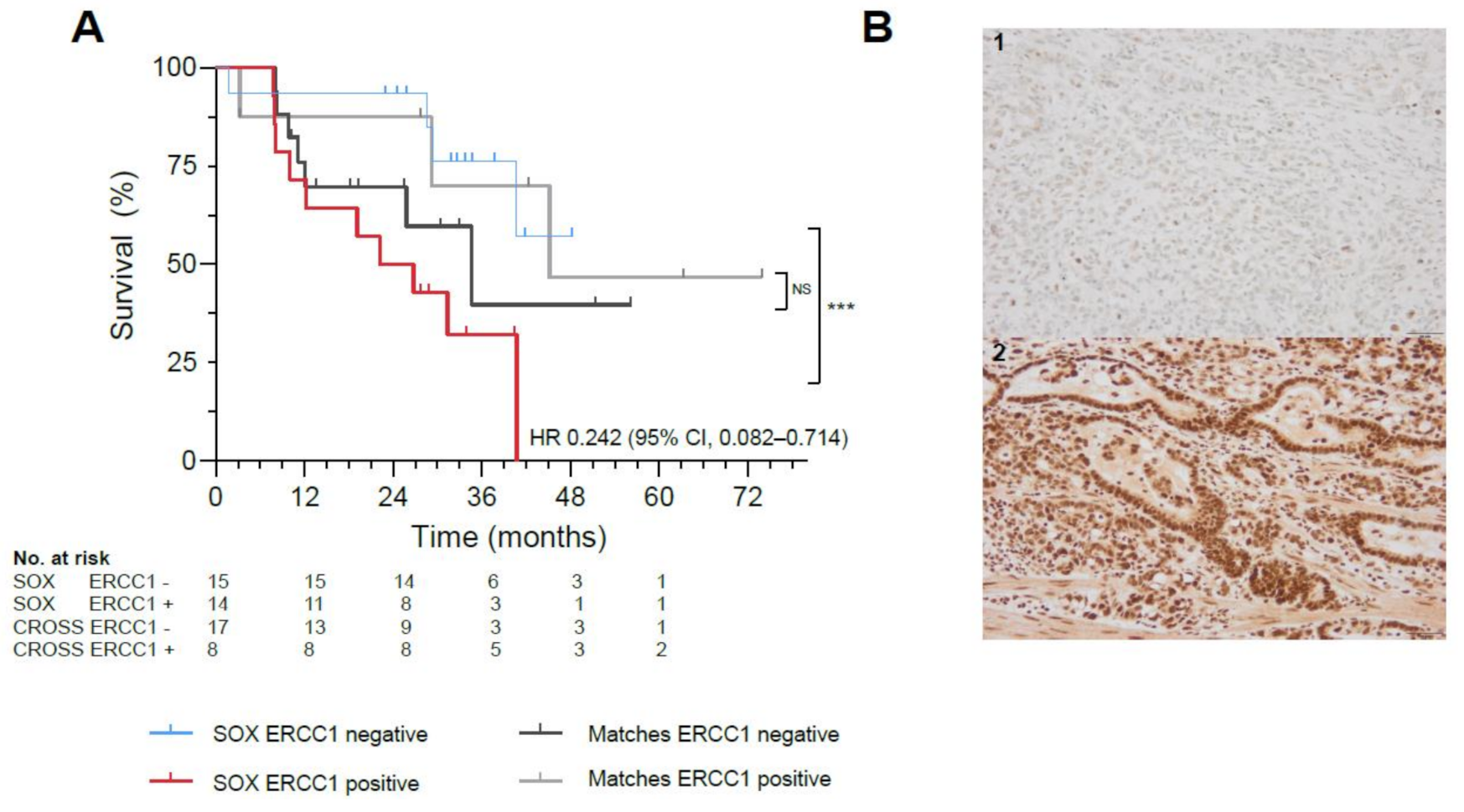Cancers 13 00839 g002a