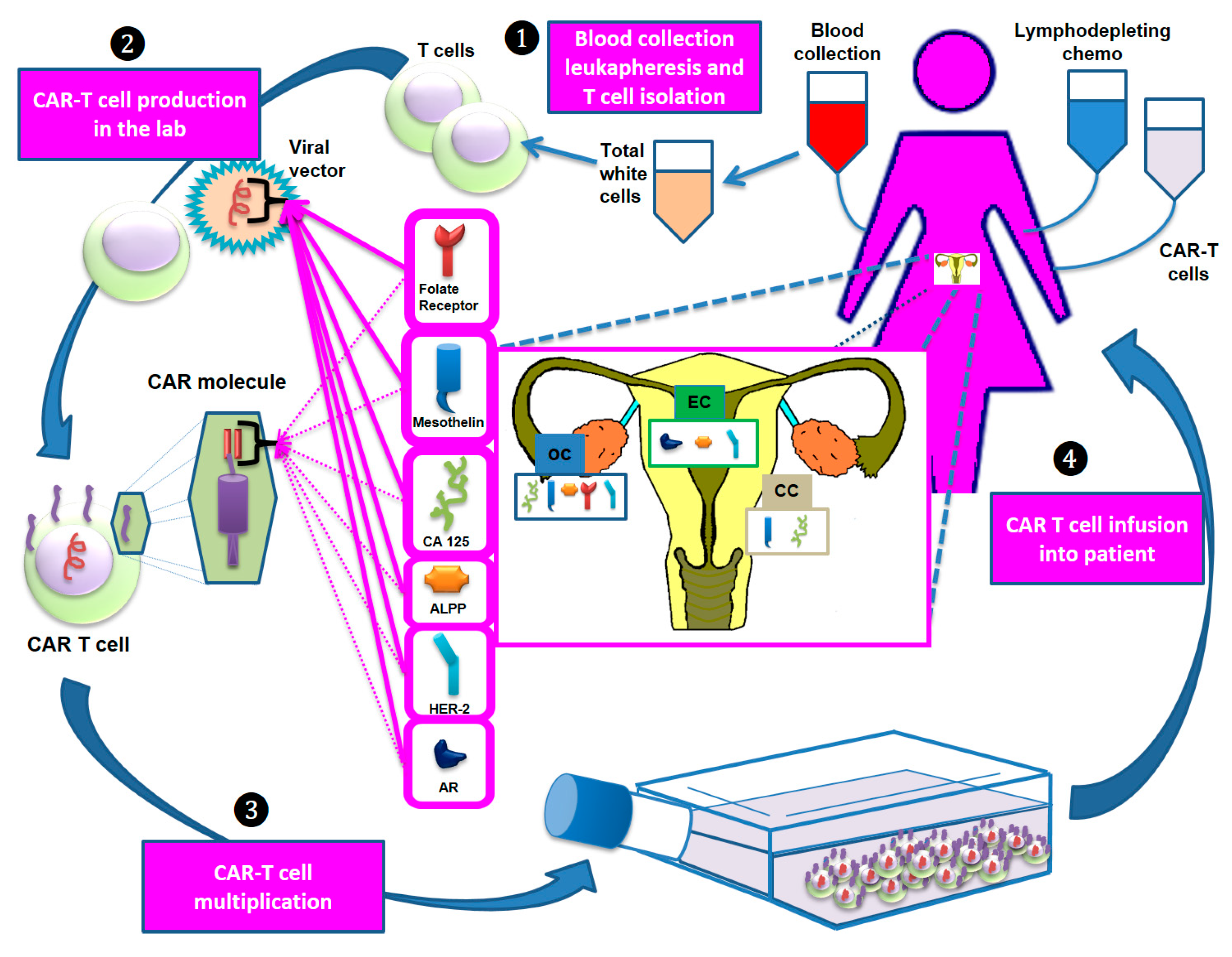 Cancers 13 00840 g001 Cancers 13 00840 g001