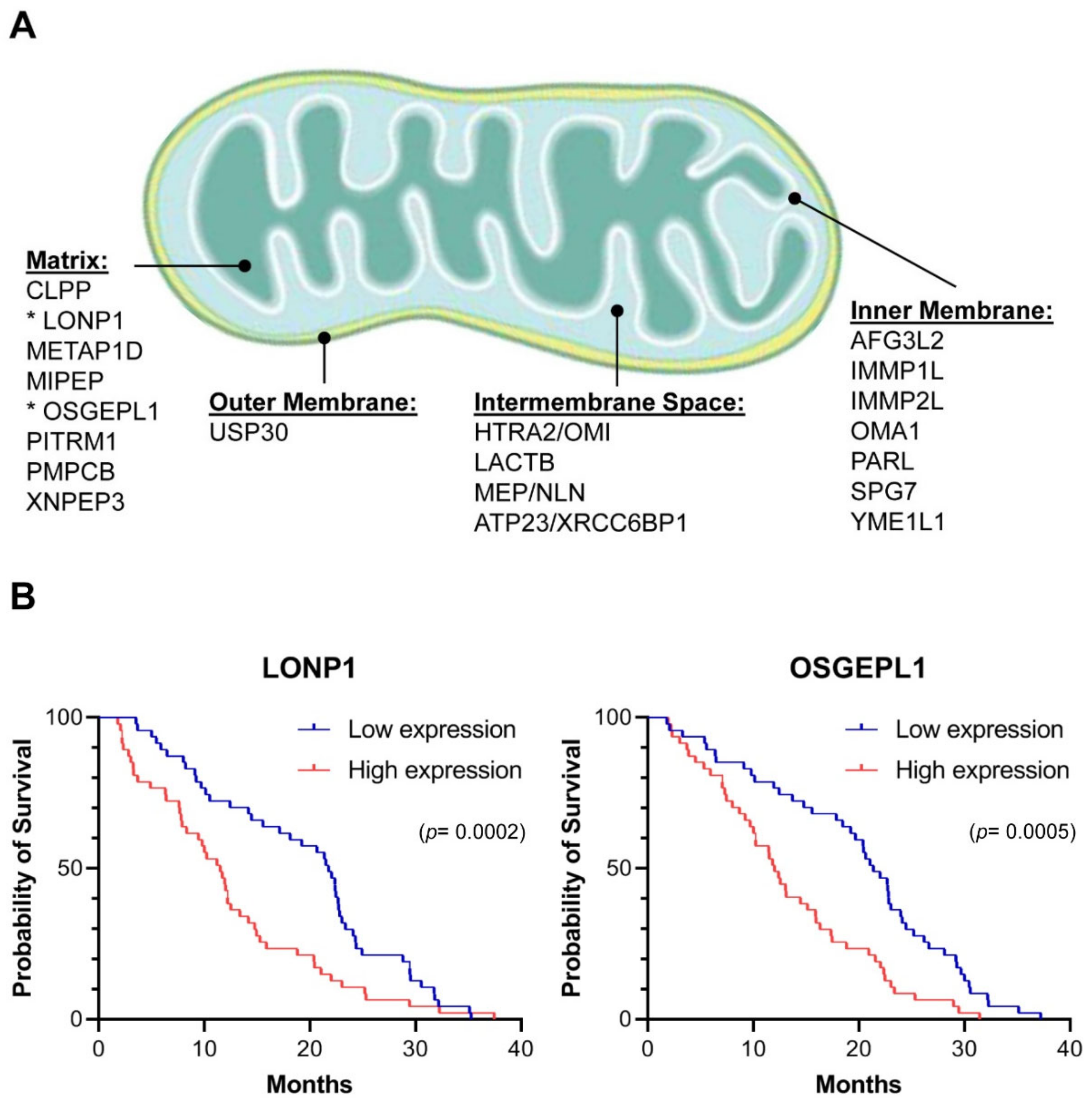 Cancers 13 00843 g001 Cancers 13 00843 g001
