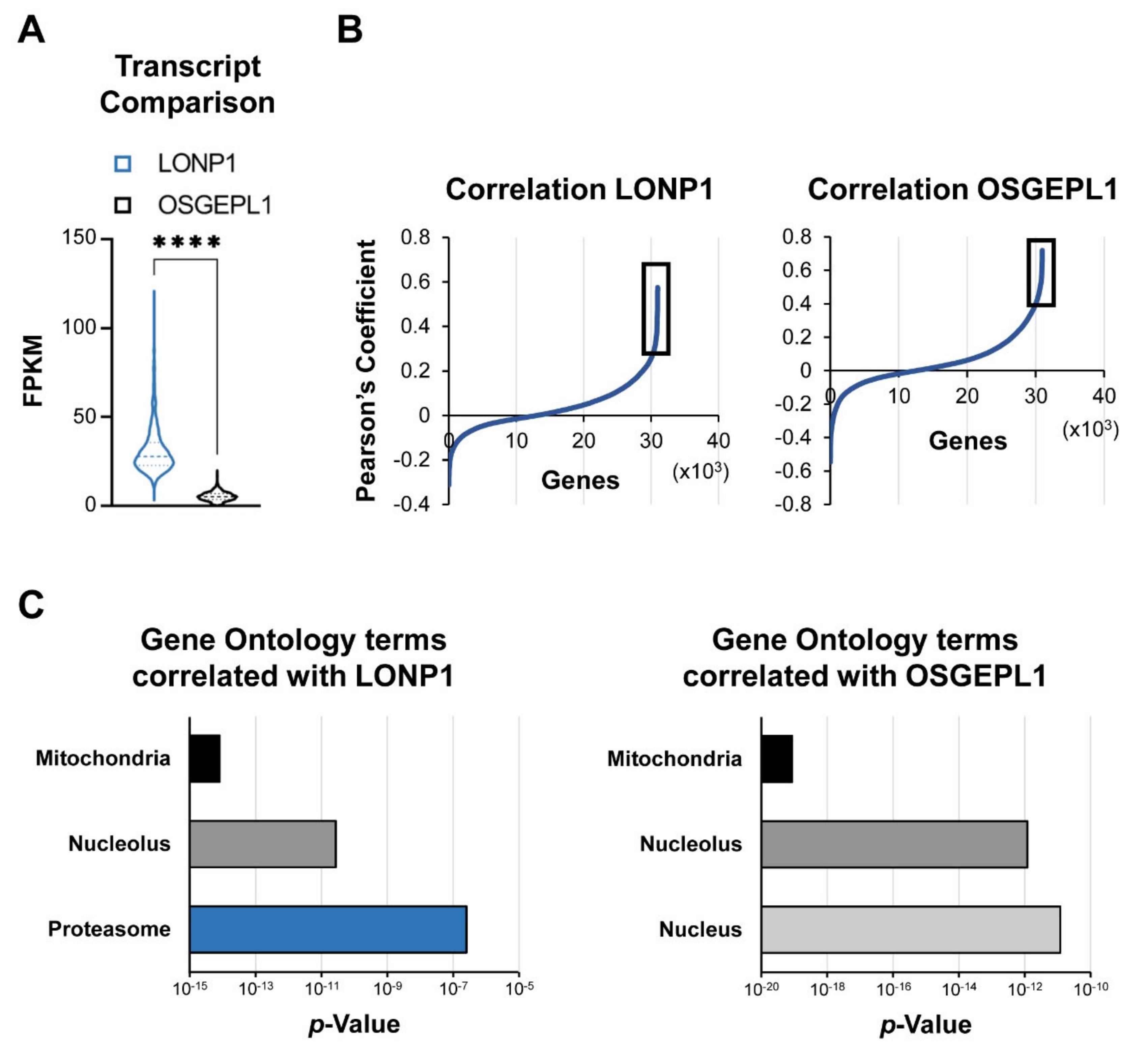 Cancers 13 00843 g002 Cancers 13 00843 g002